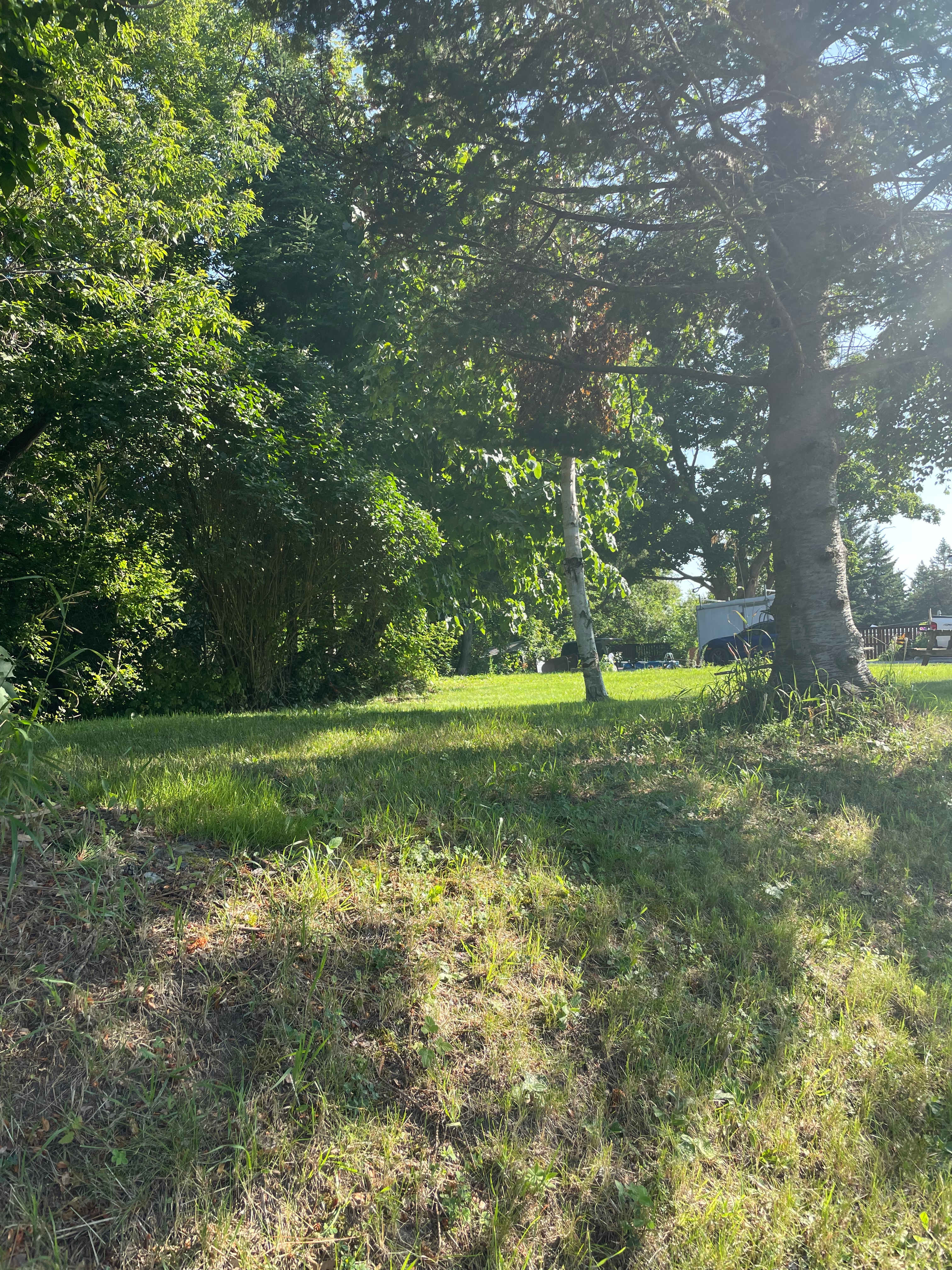 Lakeport Valley Camp 🏕️