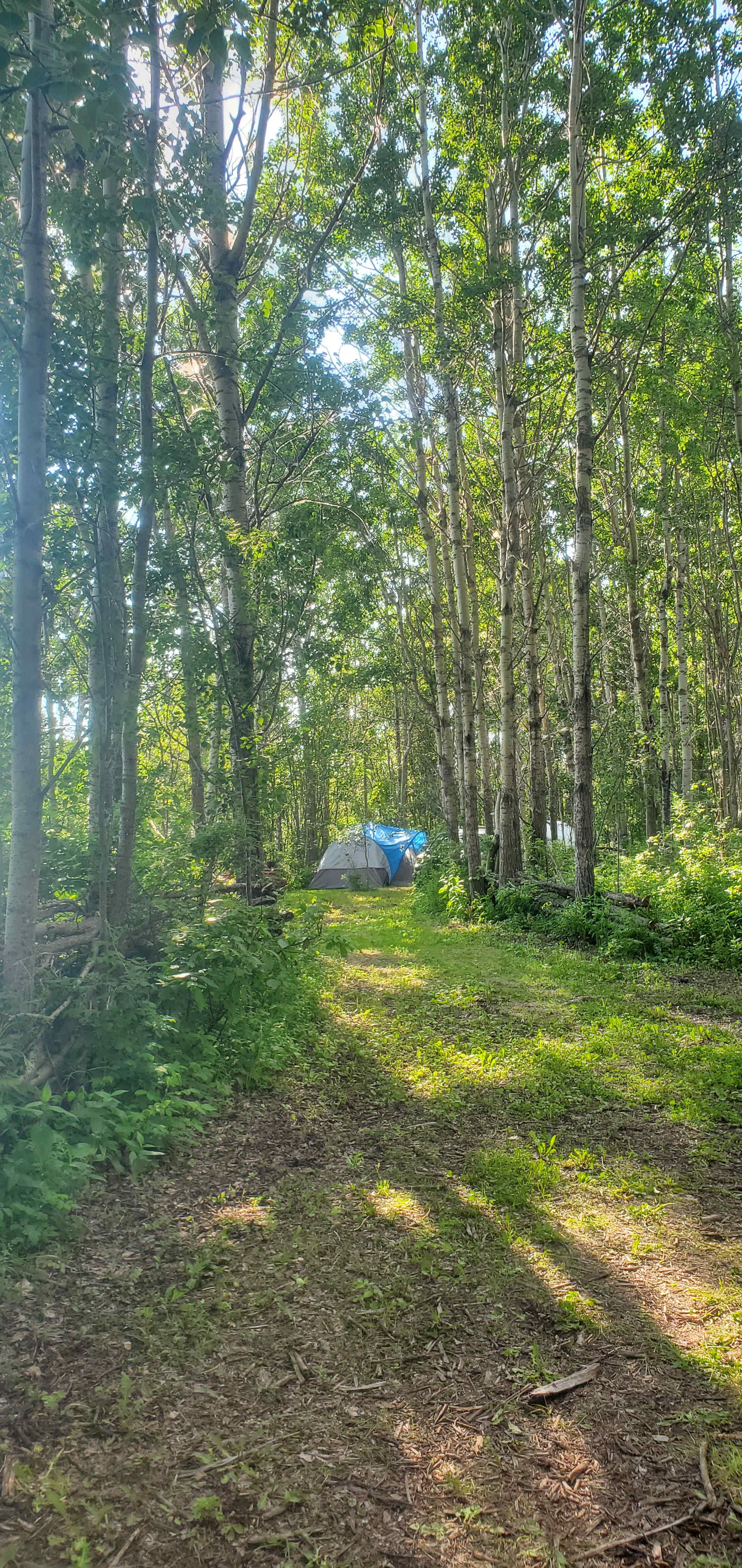 Picture of the site