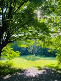 Baber Mountain Sanctuary