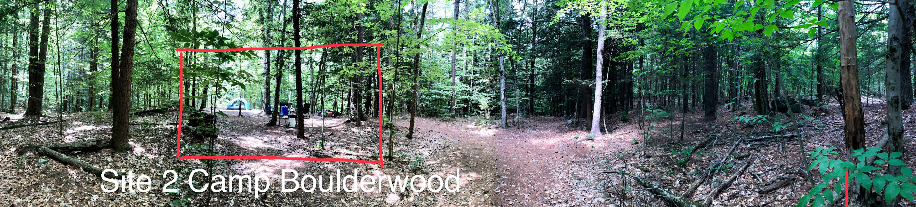 Picture of the site