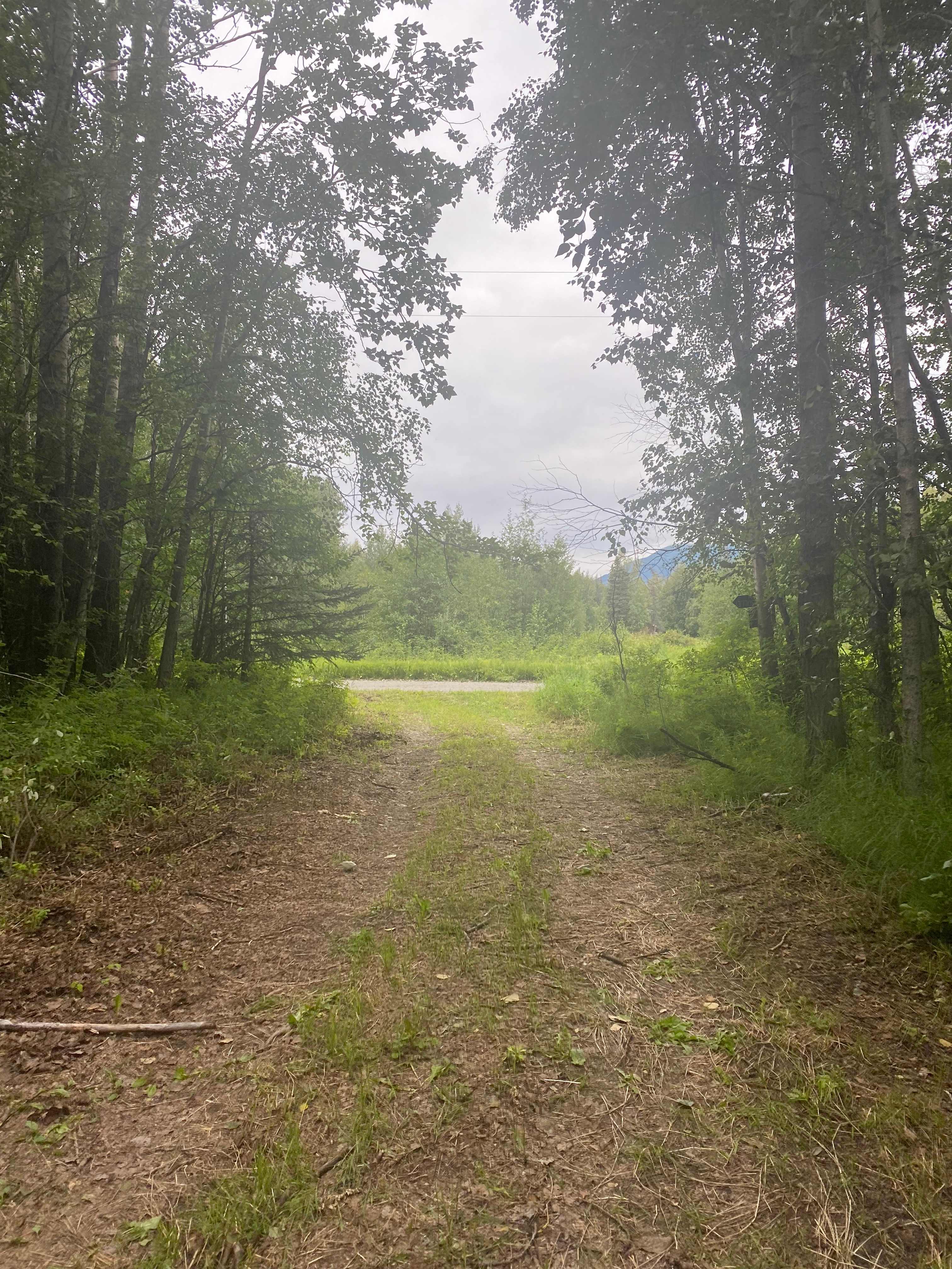 Jim Creek Blank Land