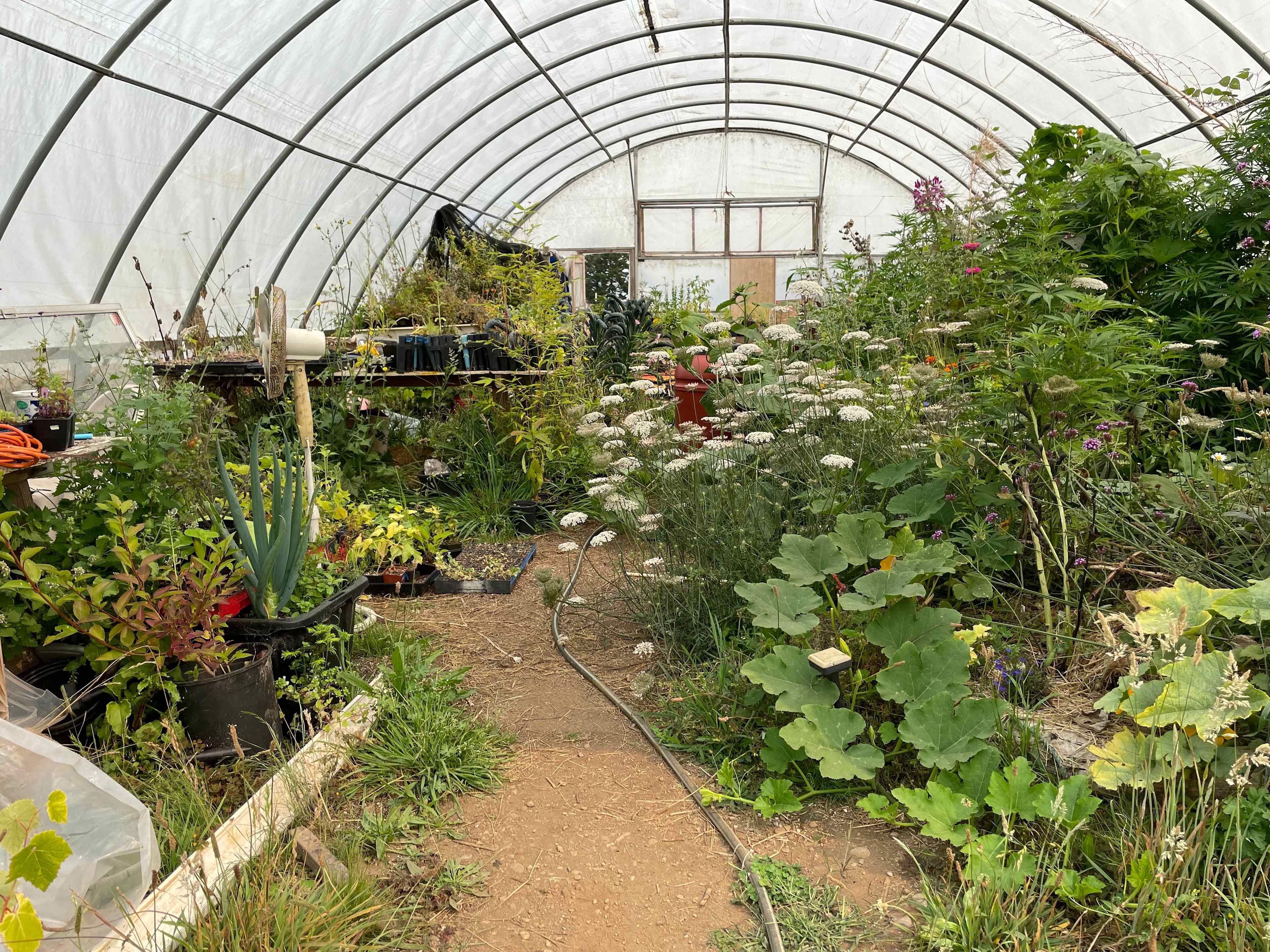 Ossia Village Farm