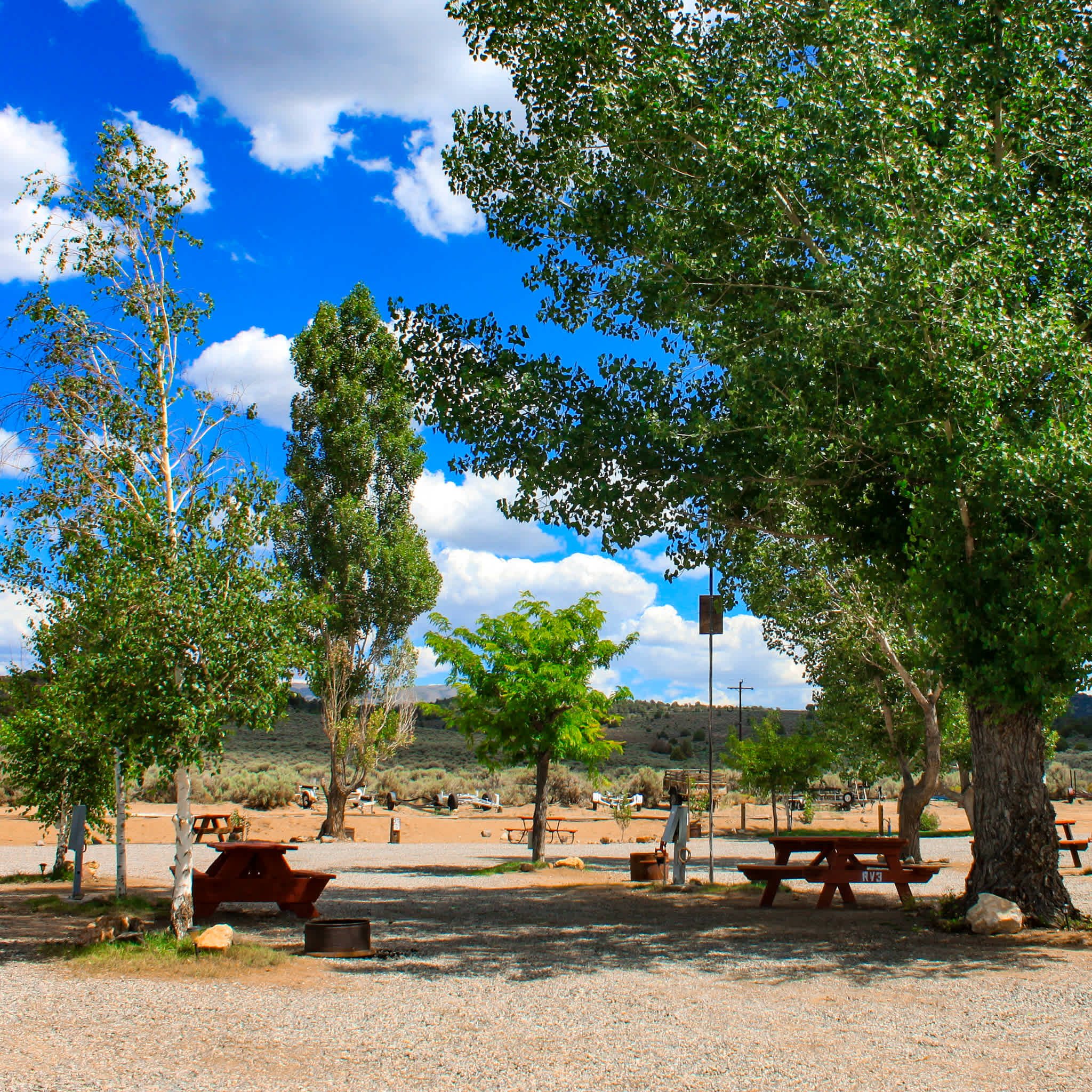 Picture of the site
