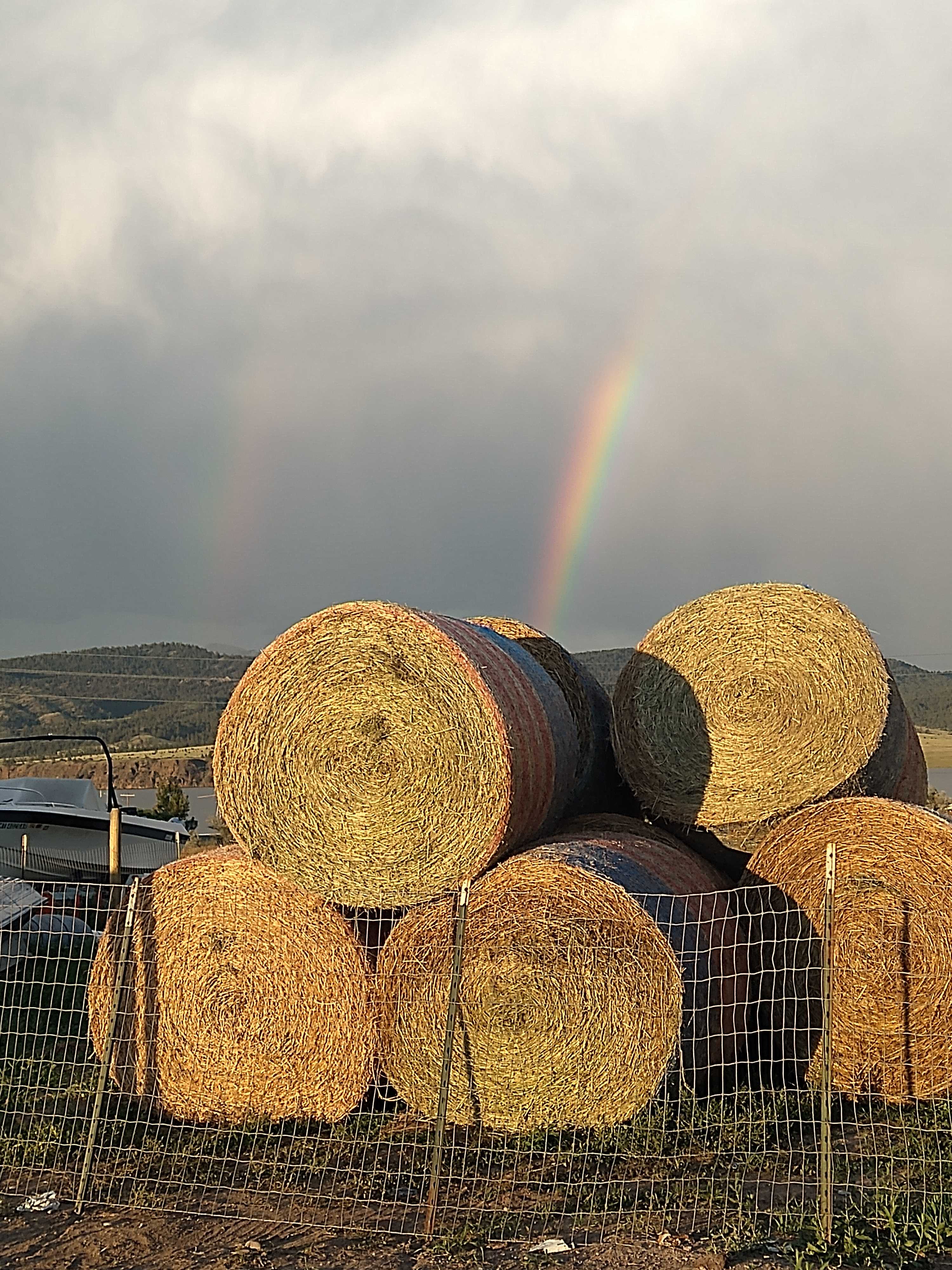 Lakeview Farms