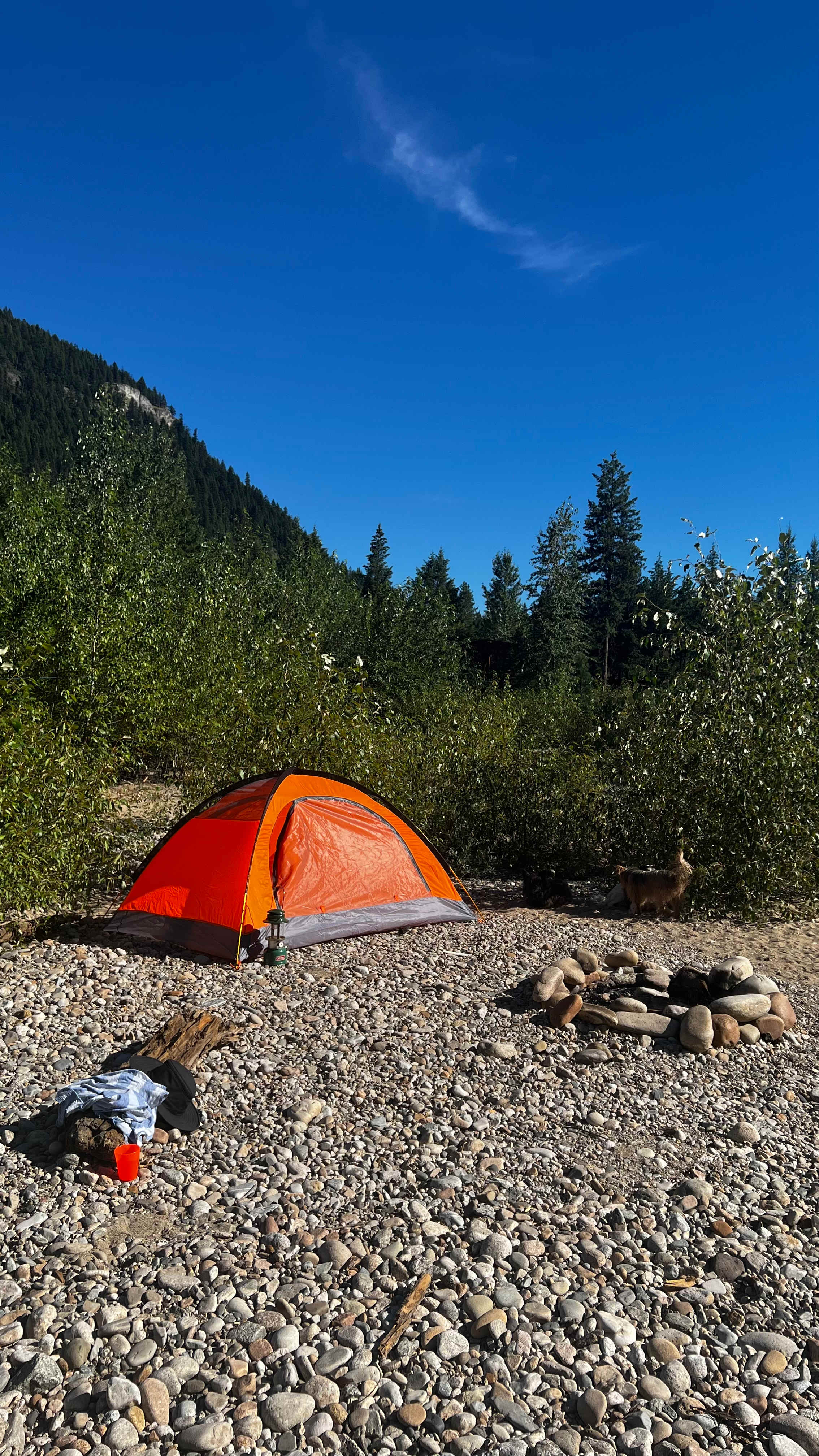 Picture of the site