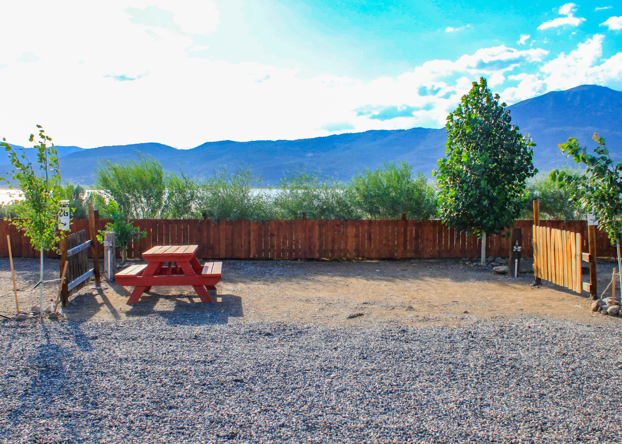 Picture of the site
