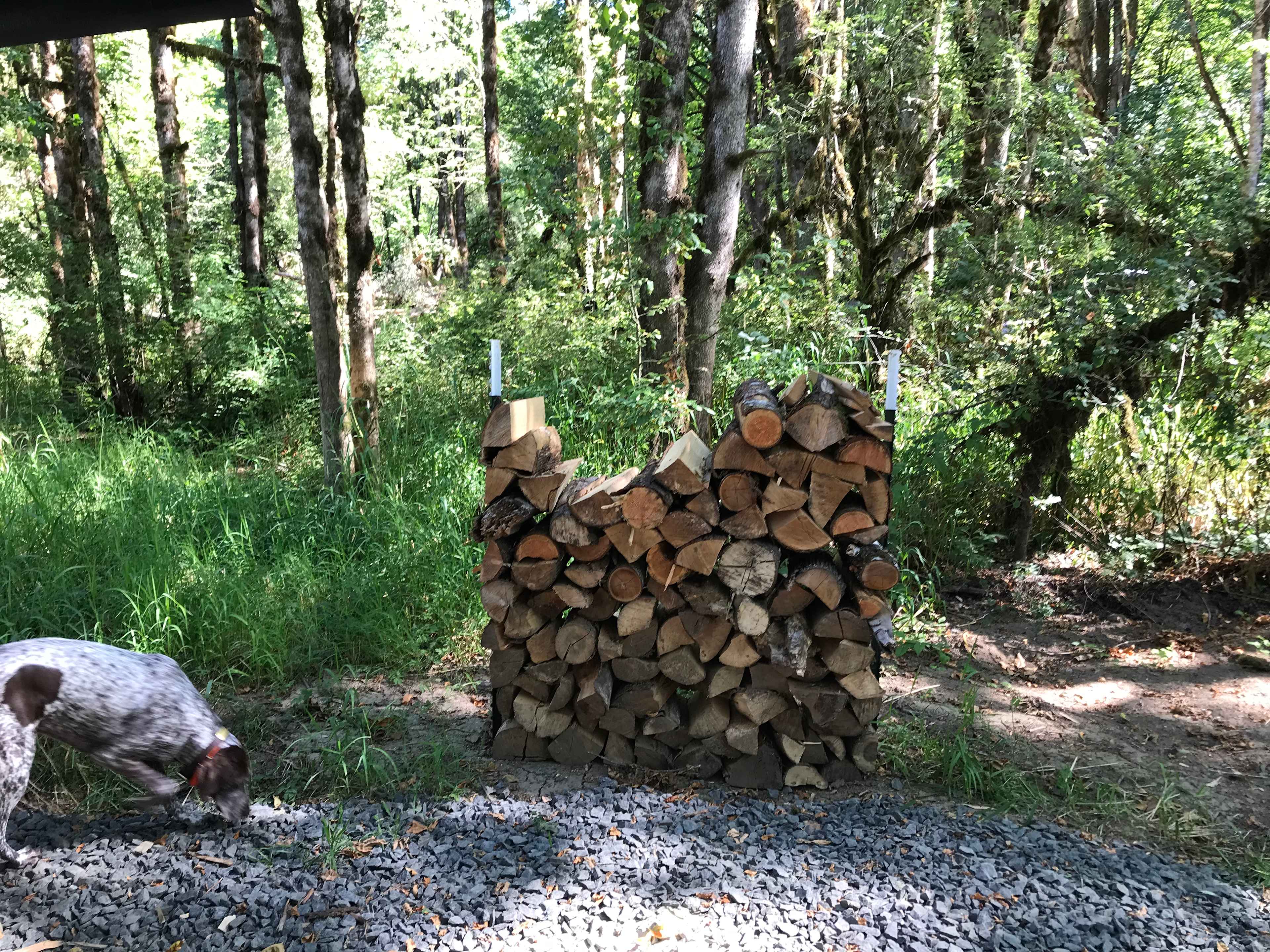 Firewood 