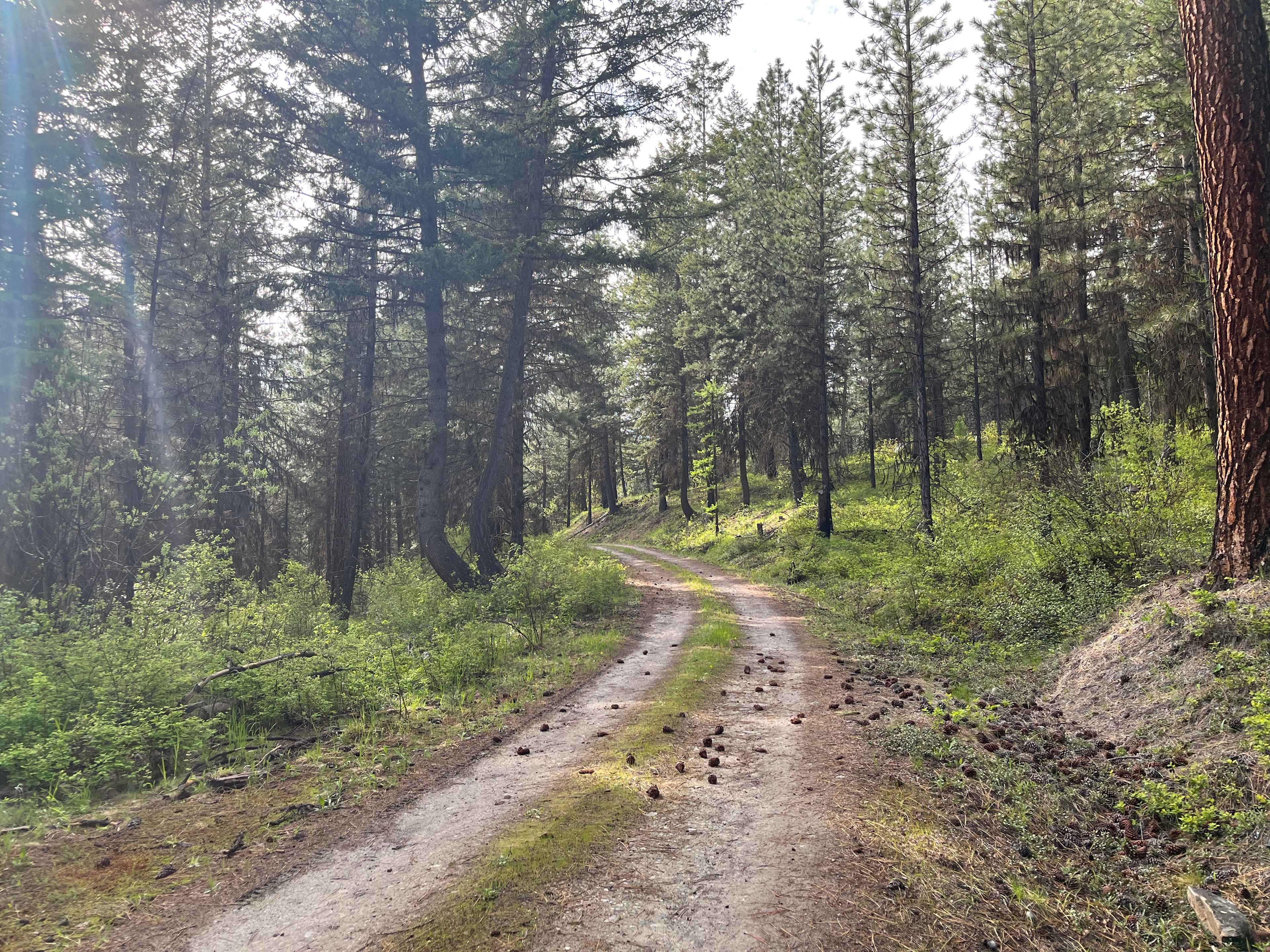 BnR Horse Ranch