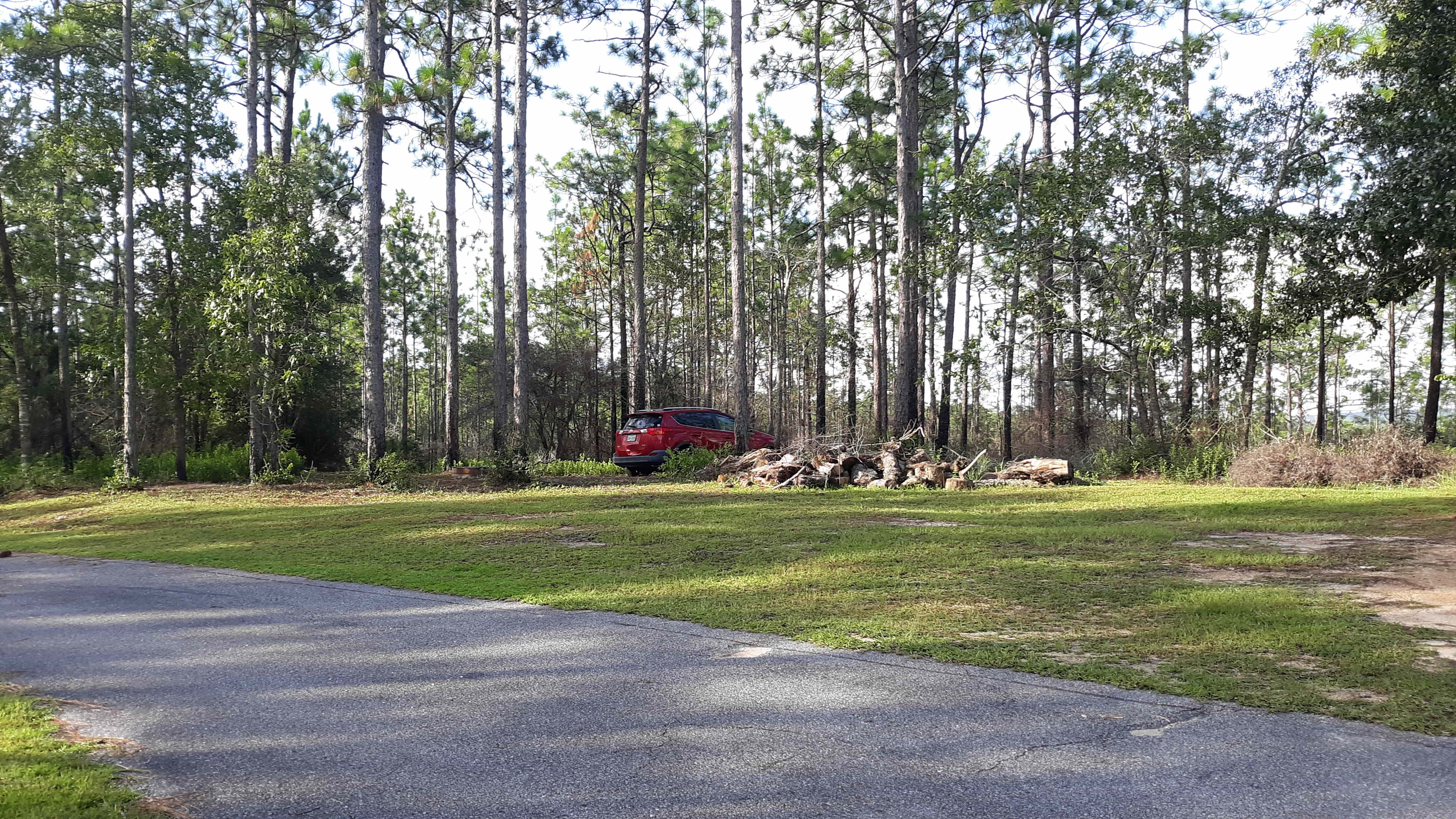 Picture of the site
