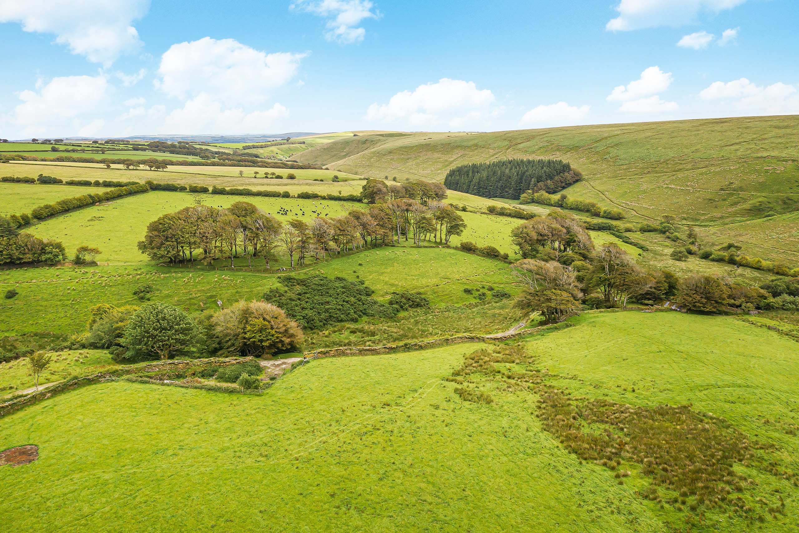 Wild camping at Emmetts on Exmoor