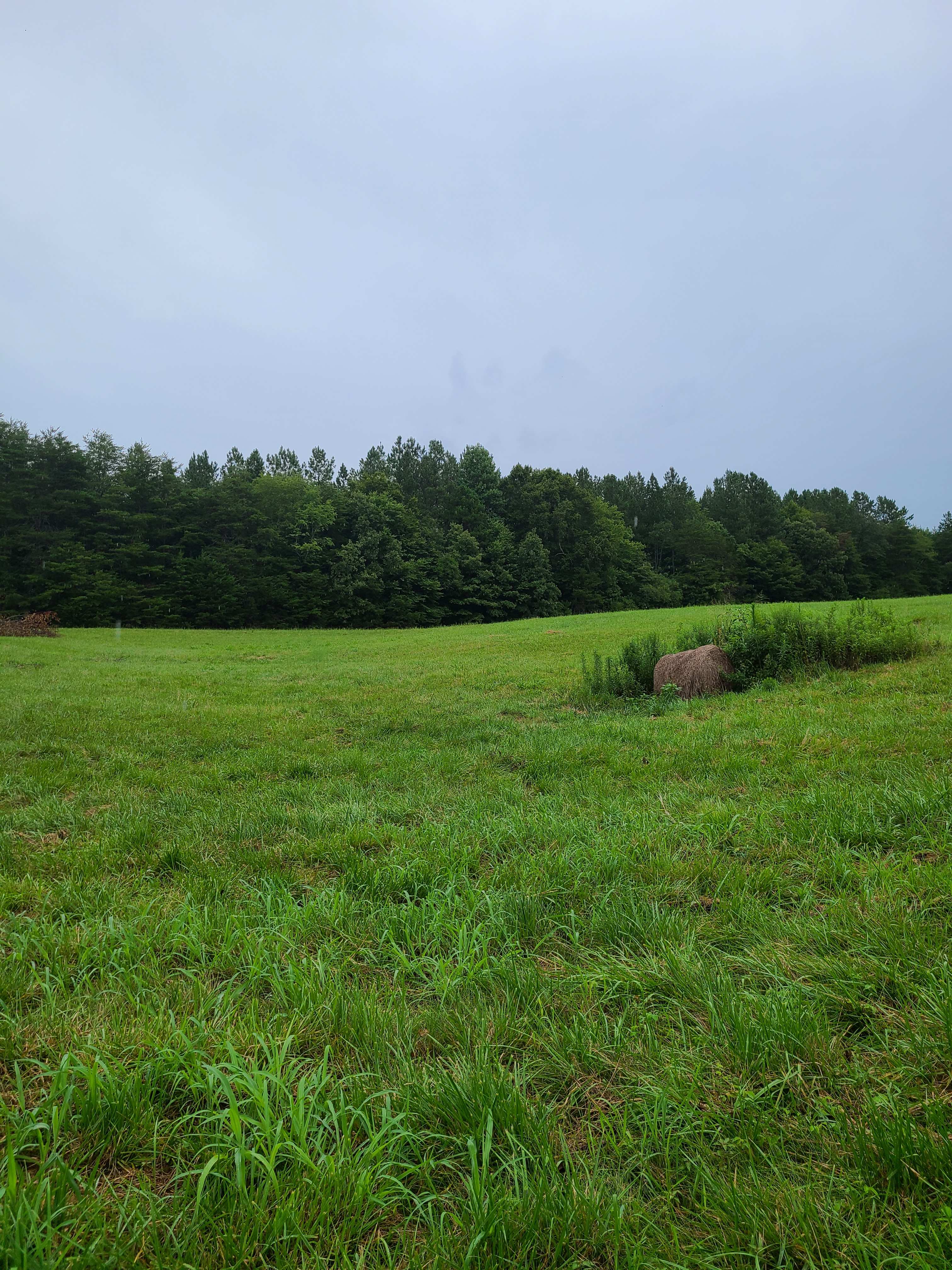 Golden pond Glamping