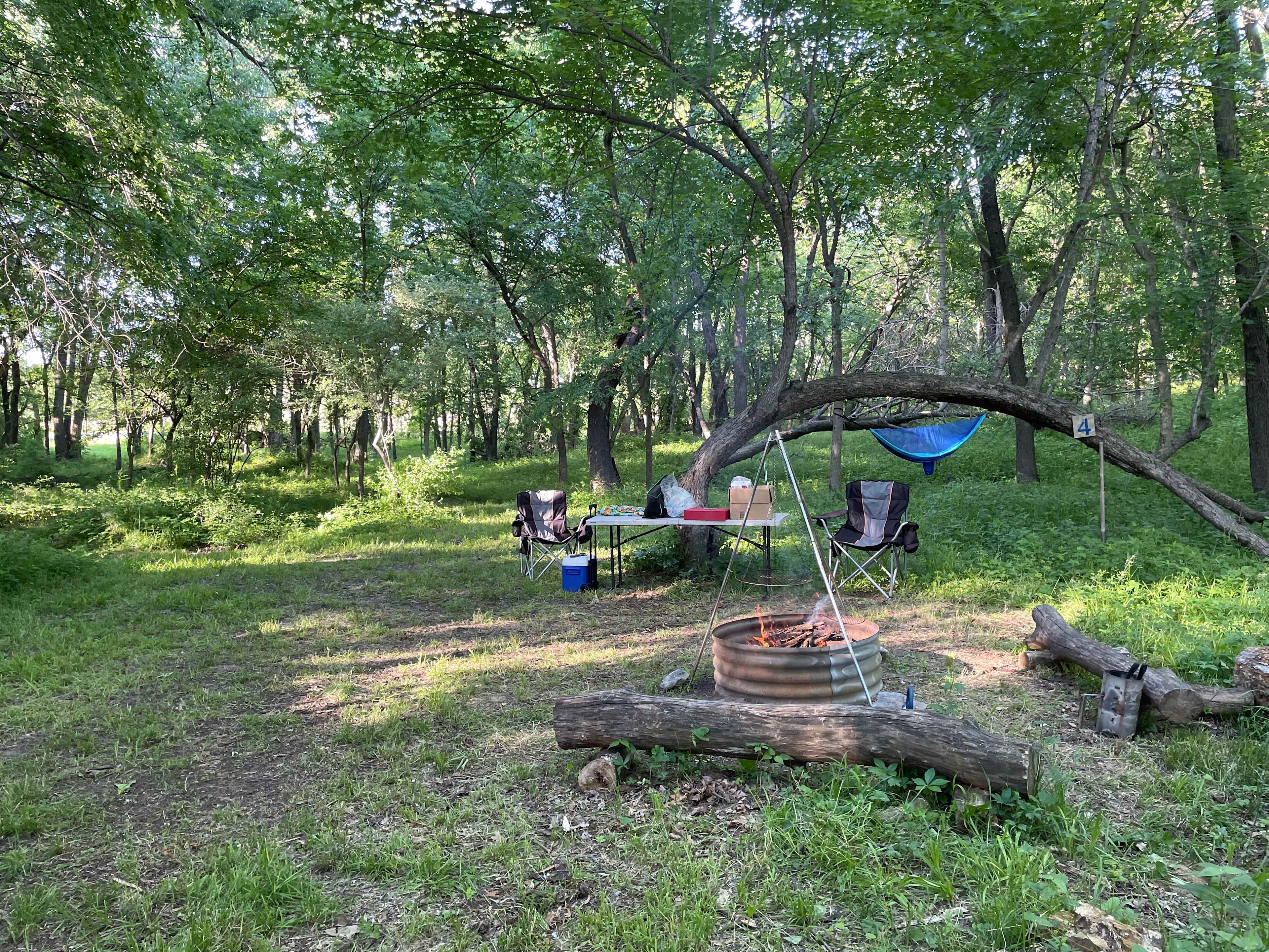 Picture of the site