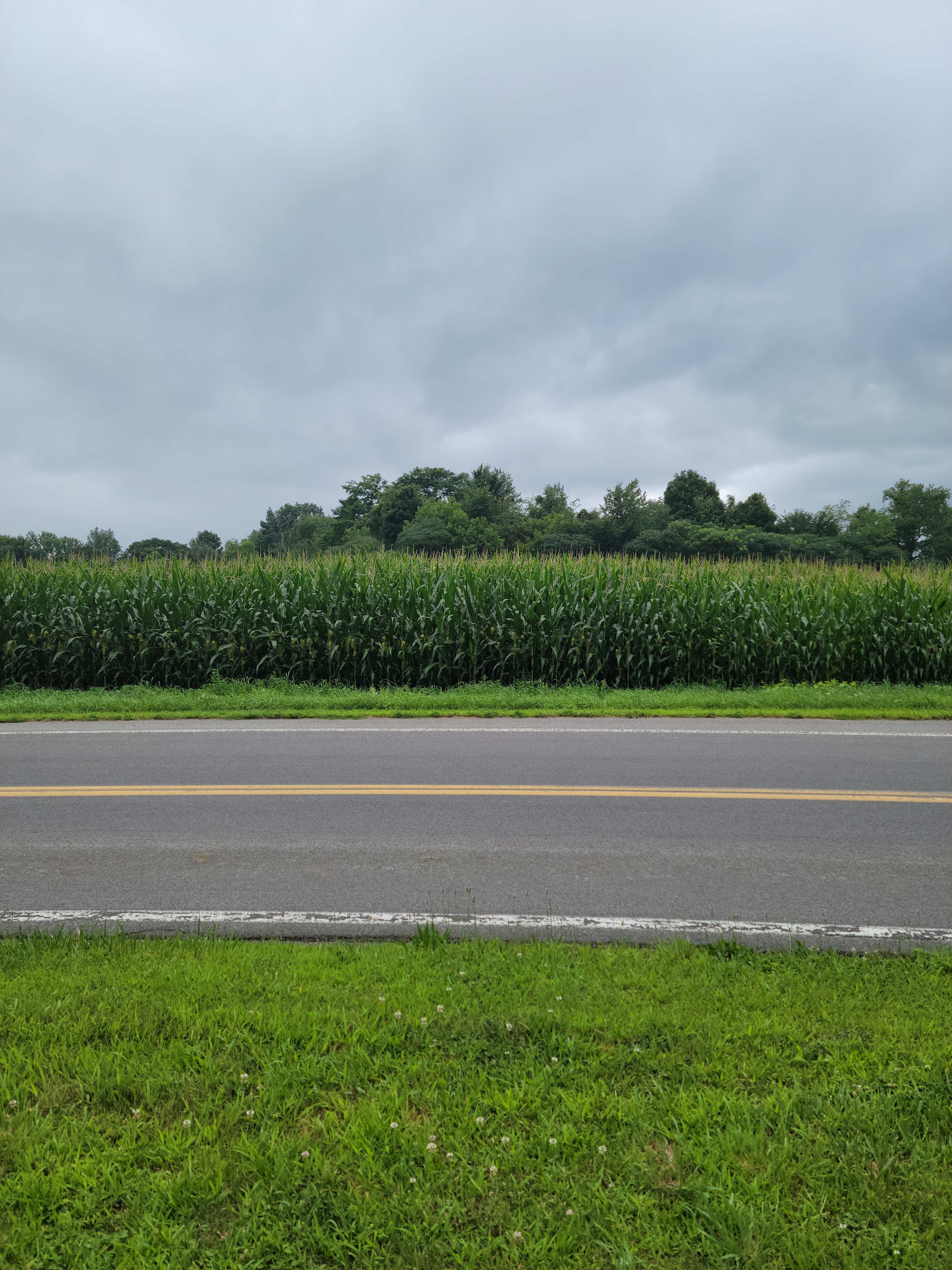 1566 Q.C.A Quiet Country Acres