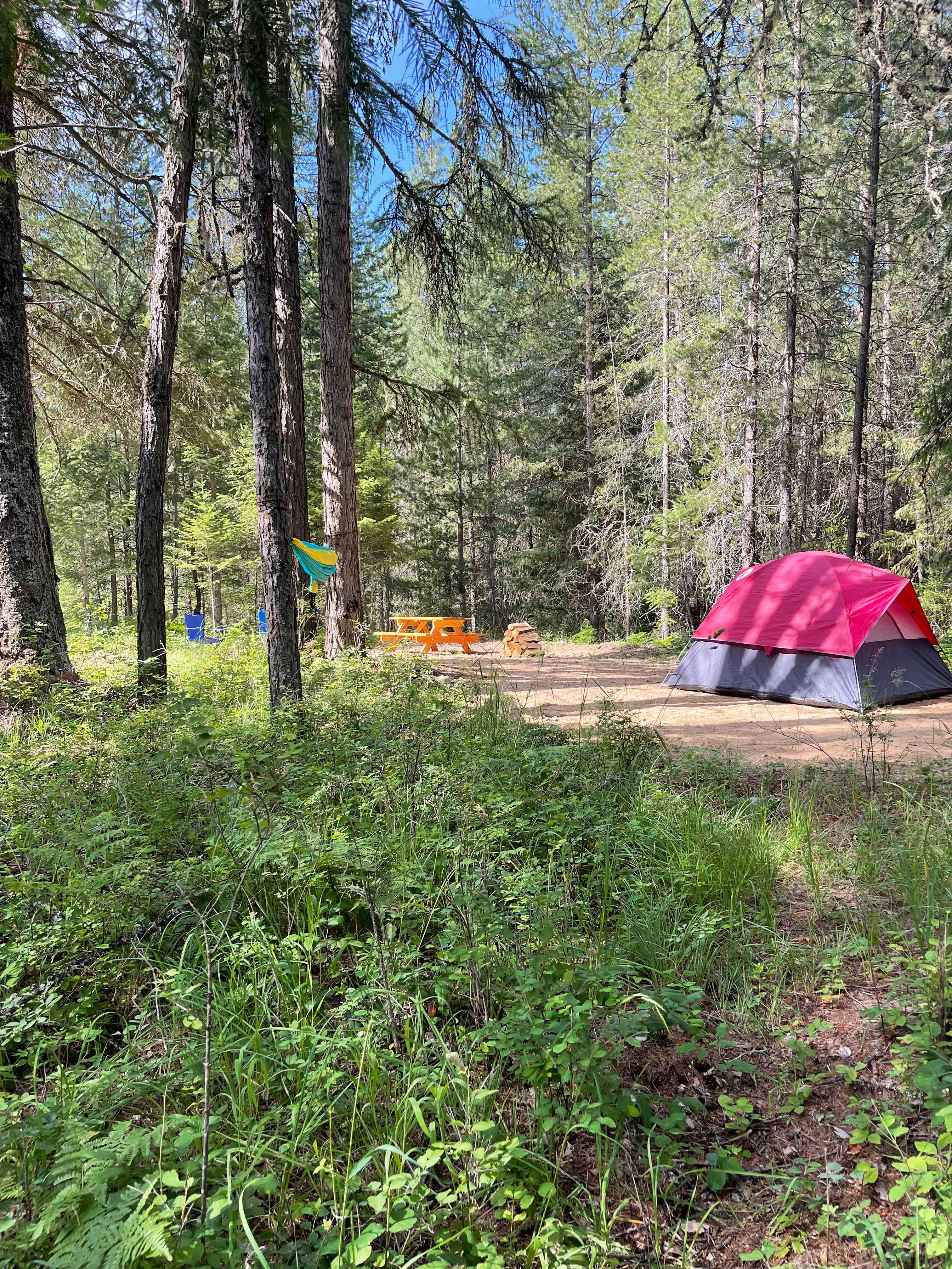 The Woods in Sagle