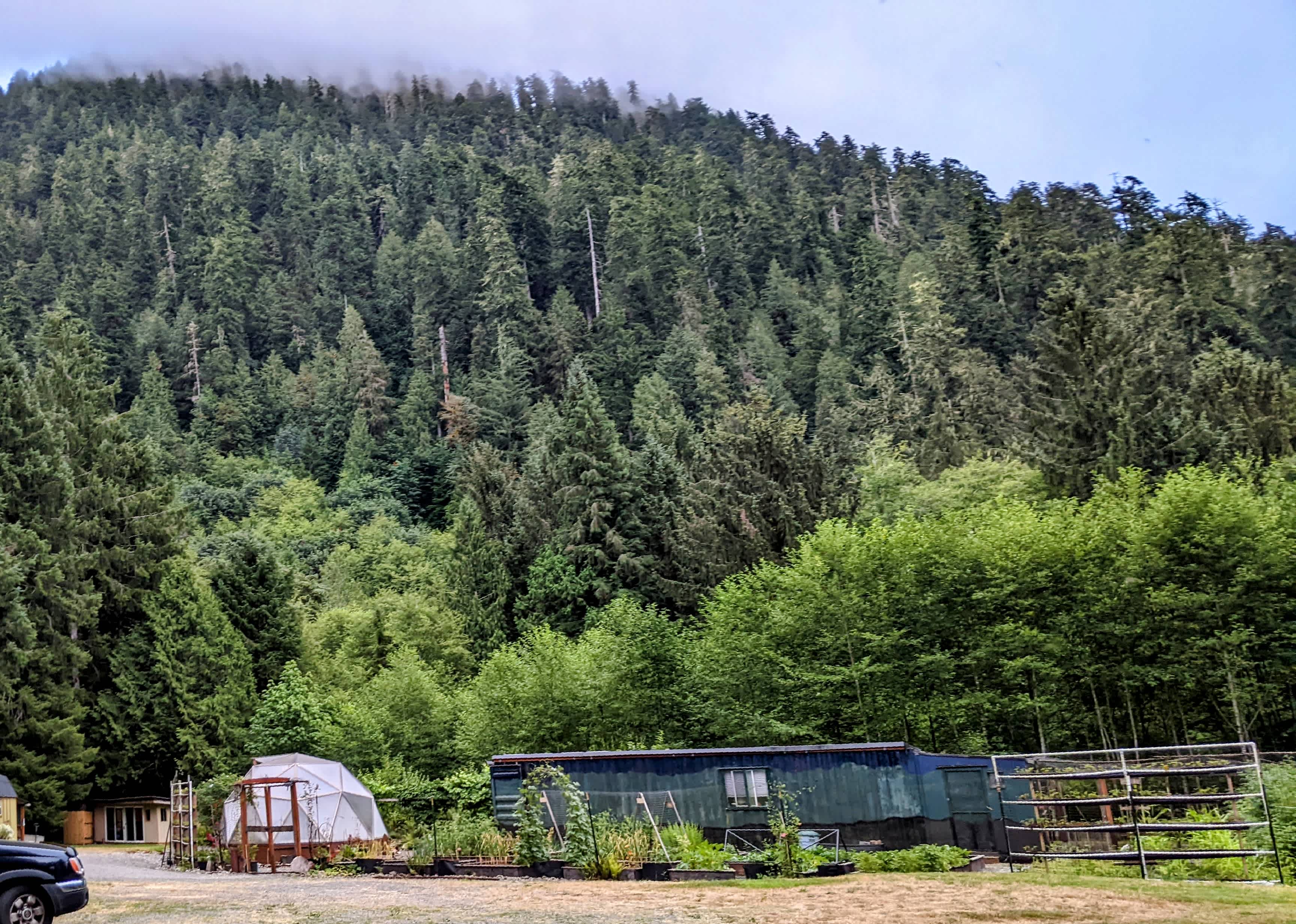 Picture of the site