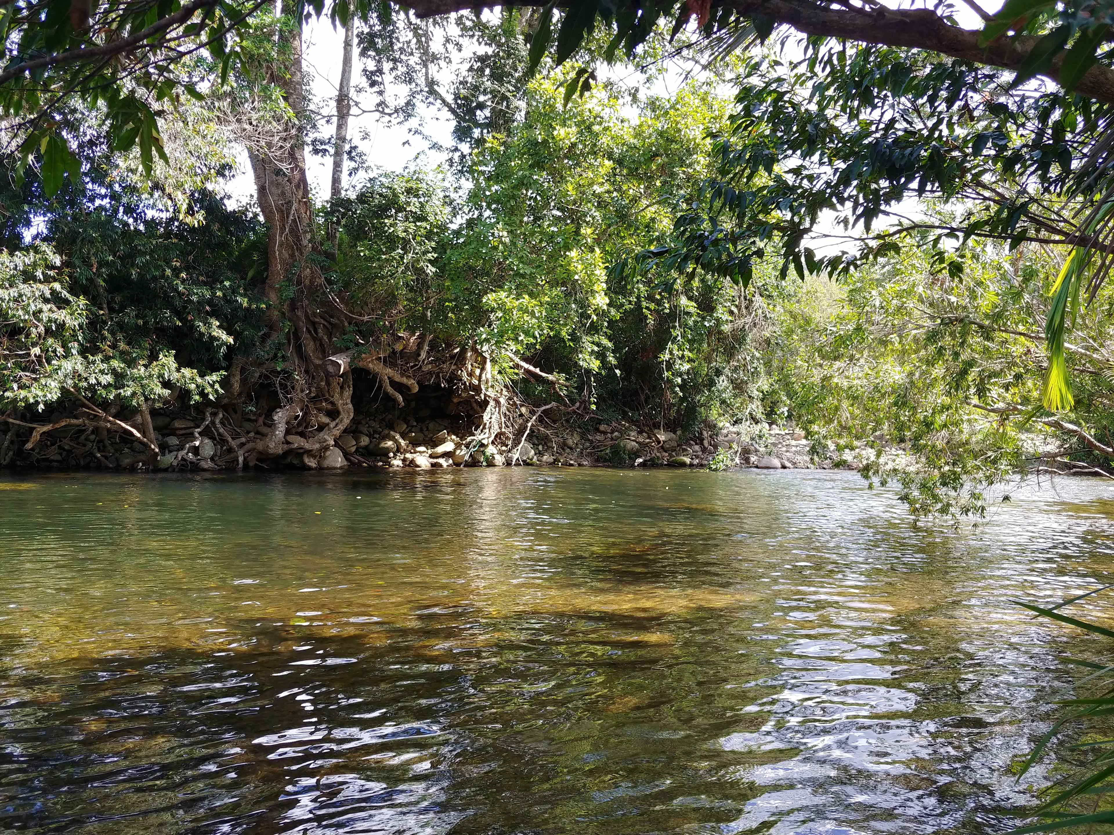 Swimming hole