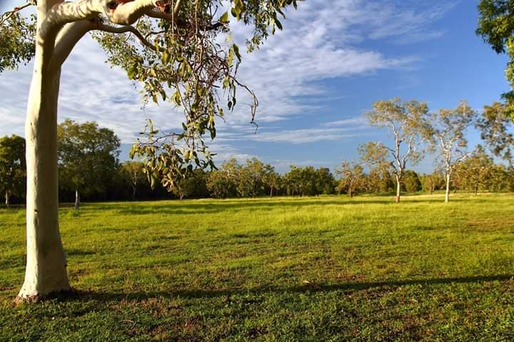 Paperbark Farm, near Darwin