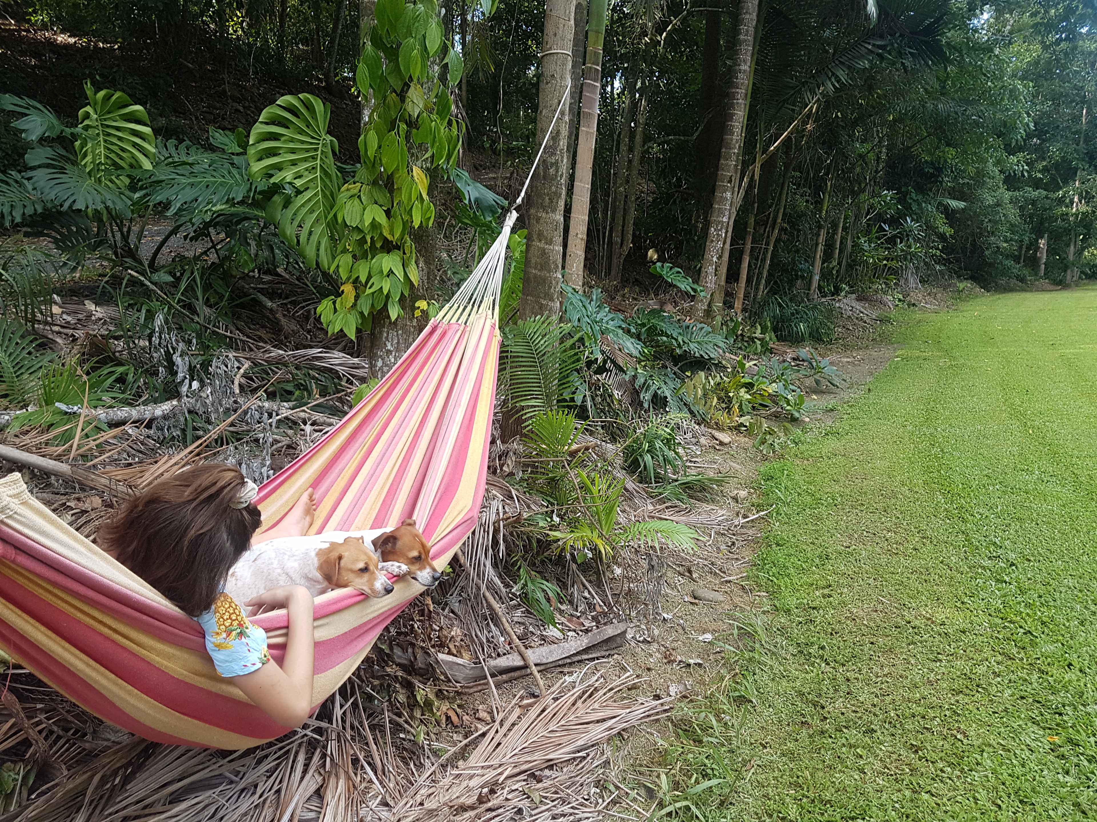Tiki Hut Creek Camp