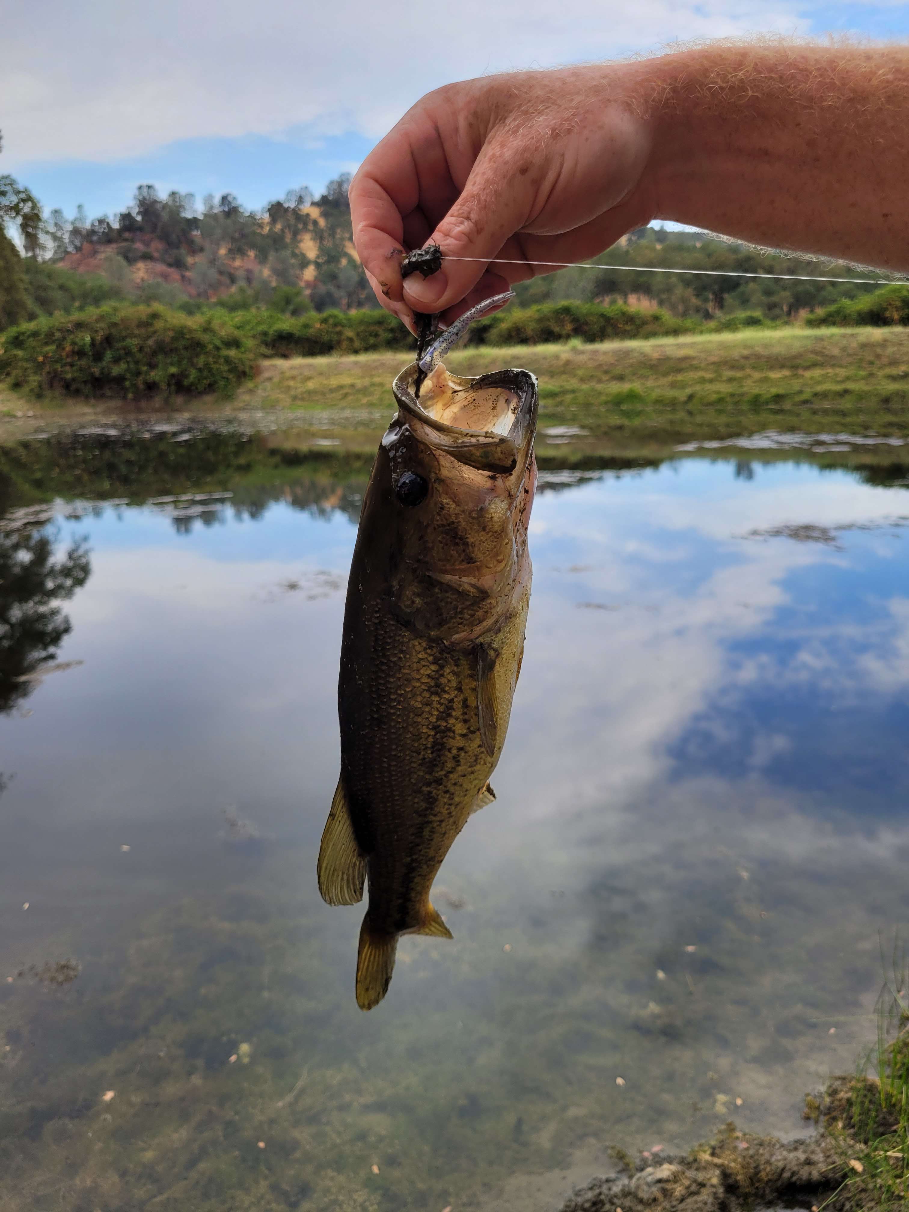 Cosumnes River Ranch