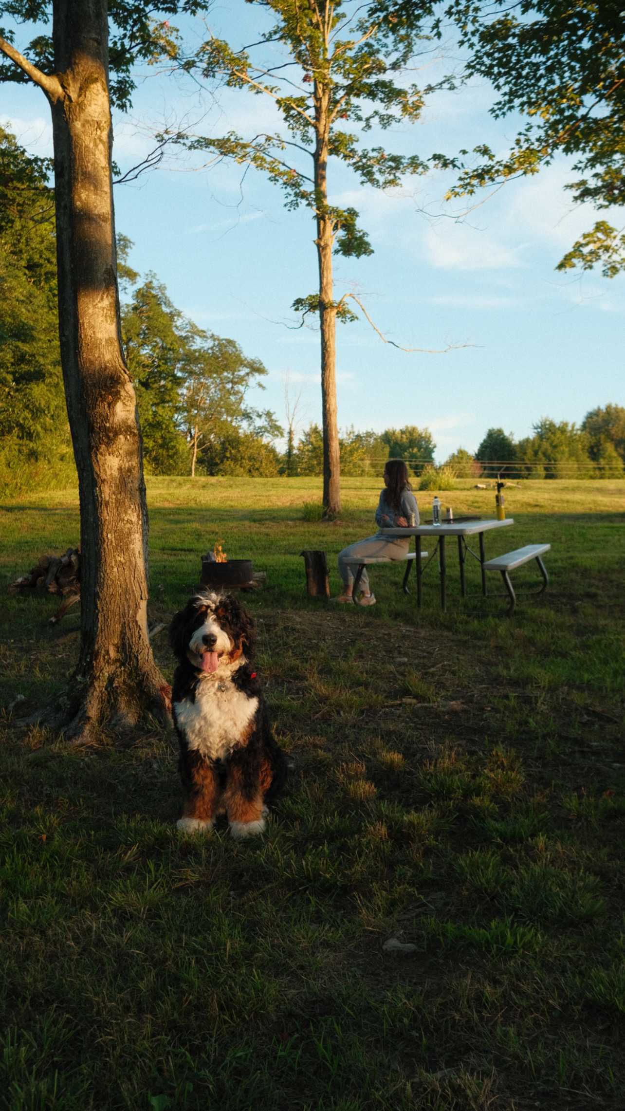 Scenic View