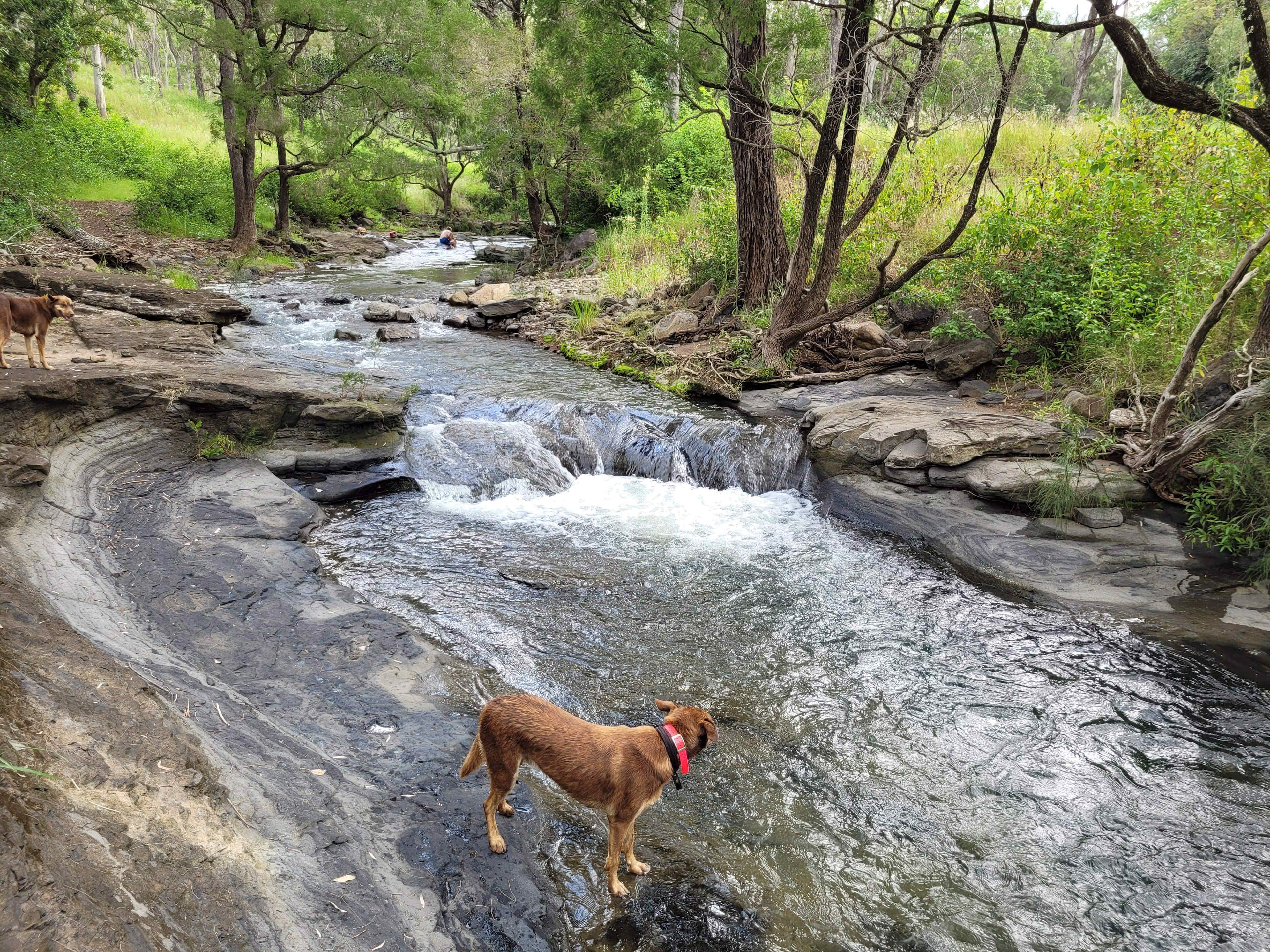 Over the Creek
