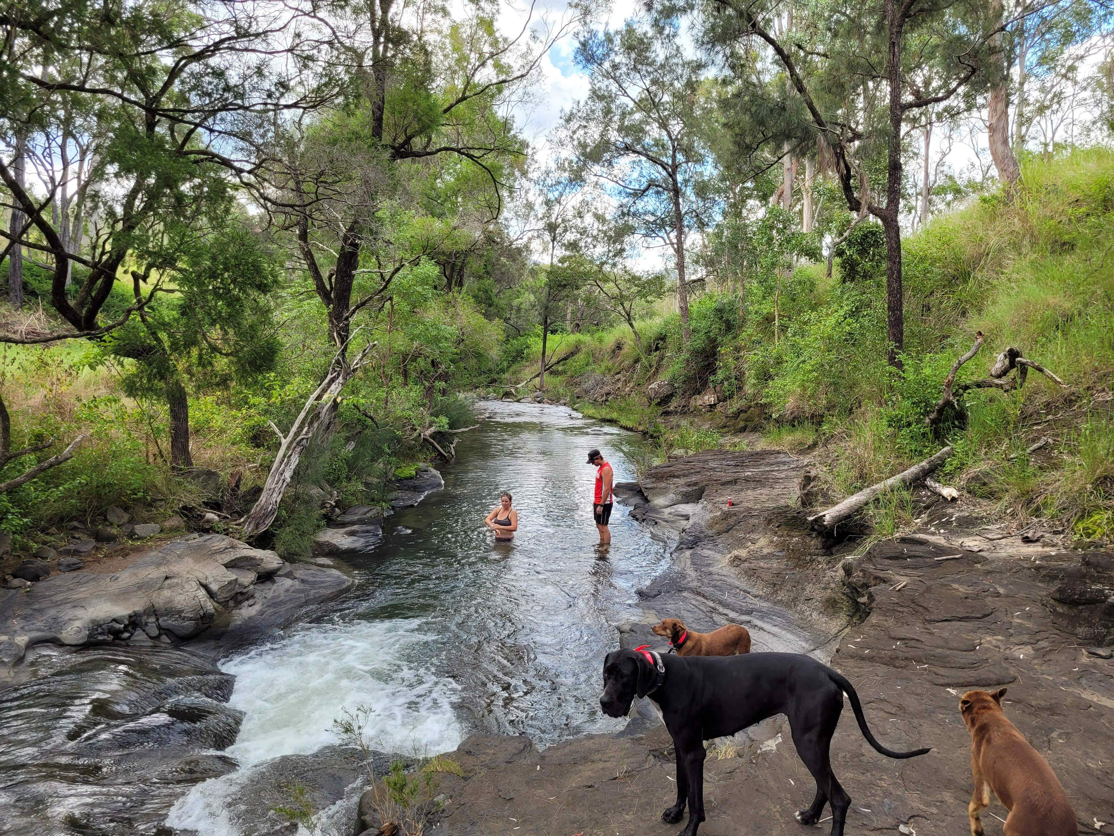 Over the Creek