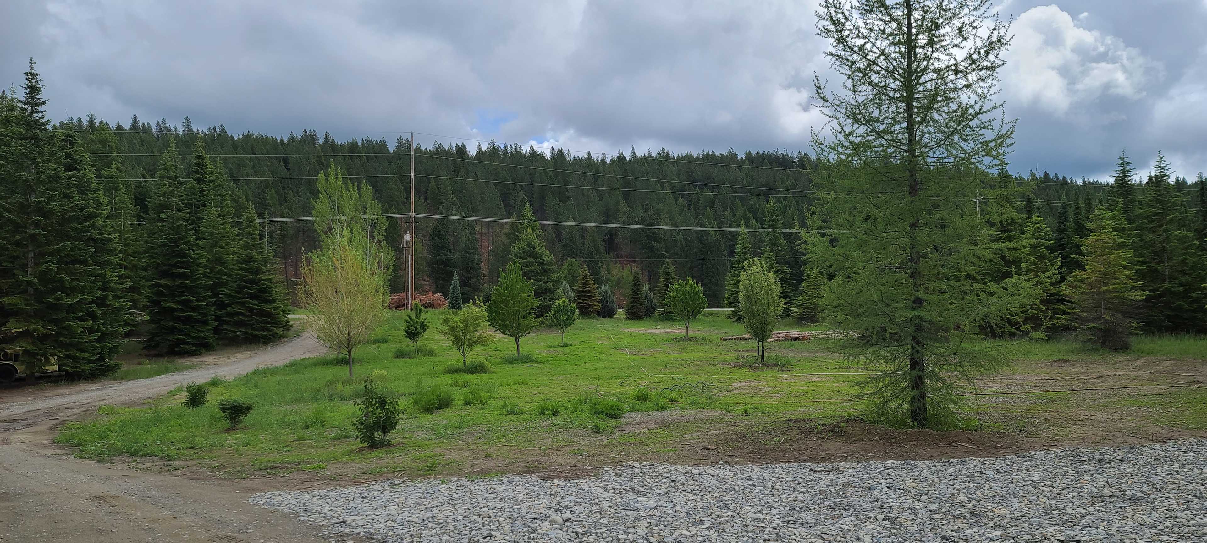 The Homestead