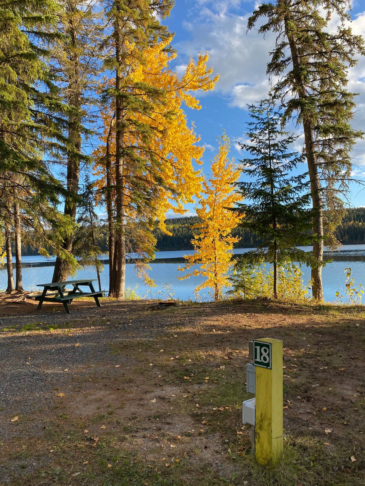 Picture of the site