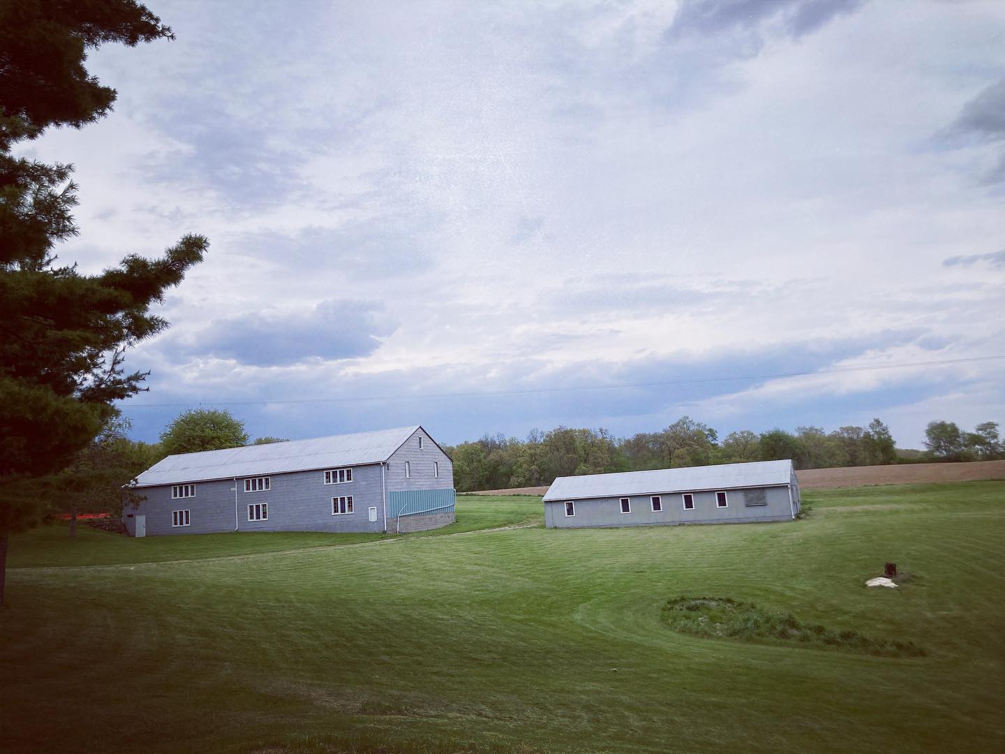 Dancing Willow Farm