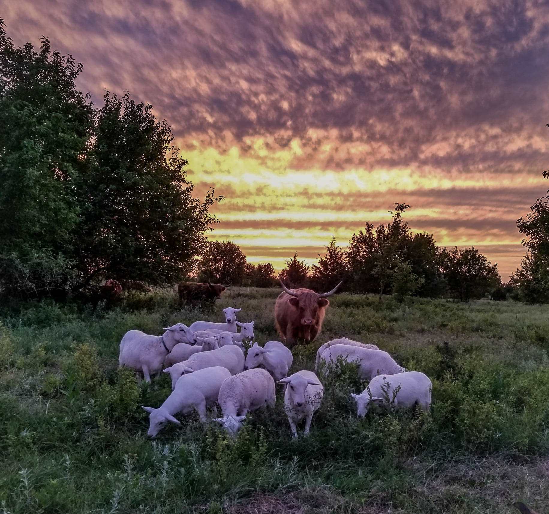 Eagle Ridge Ranch