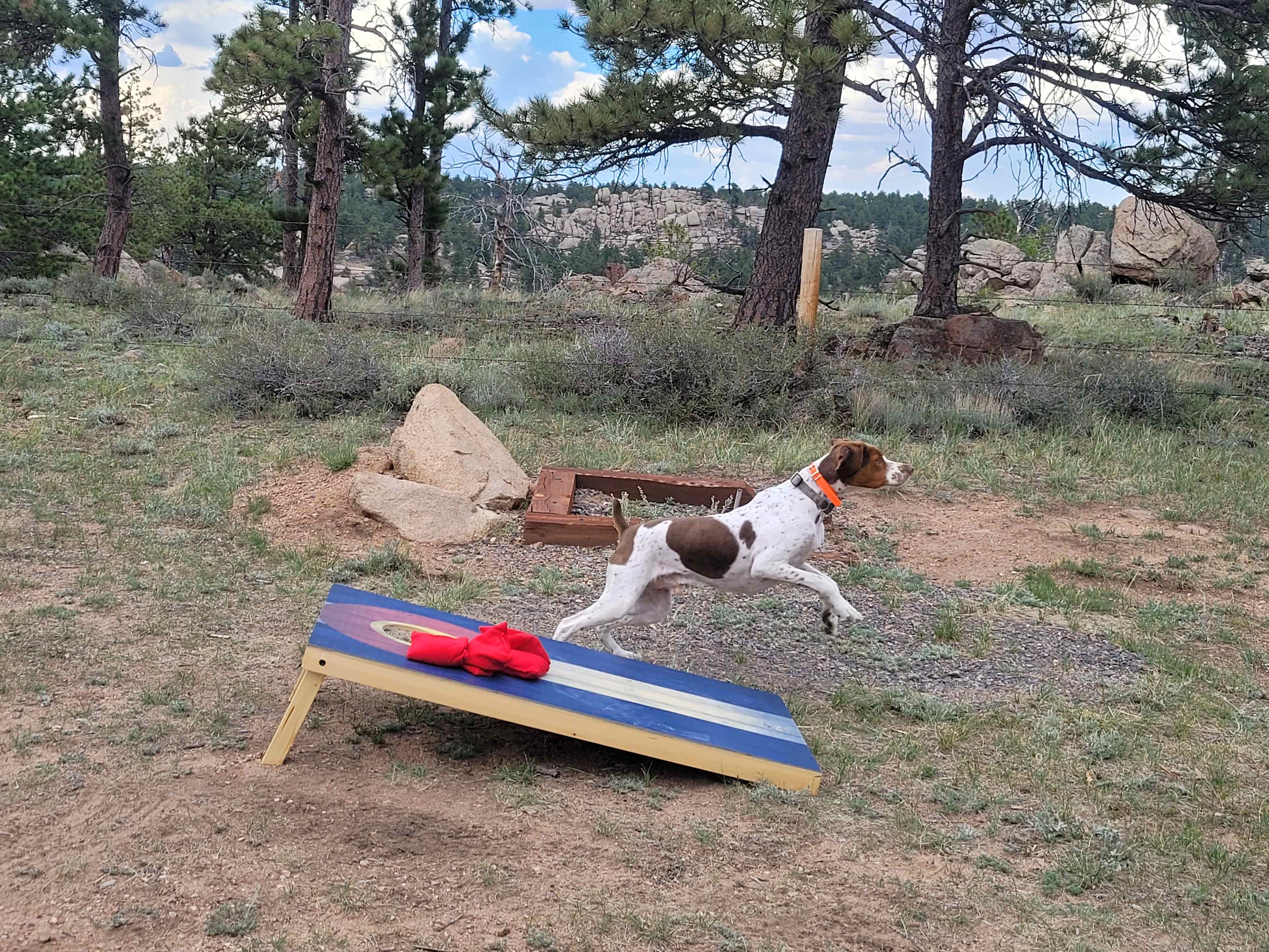 Watson in heaven :)