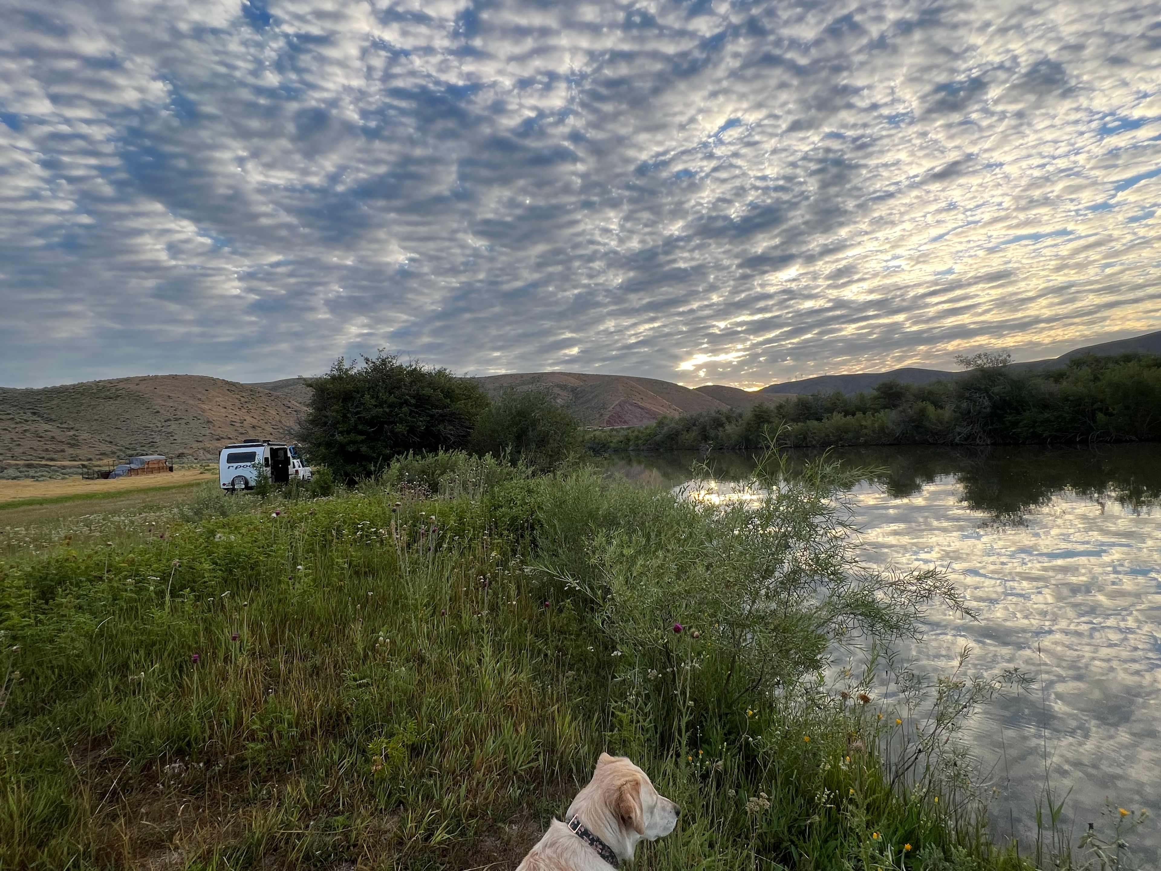 Lazy 6-T Ranch