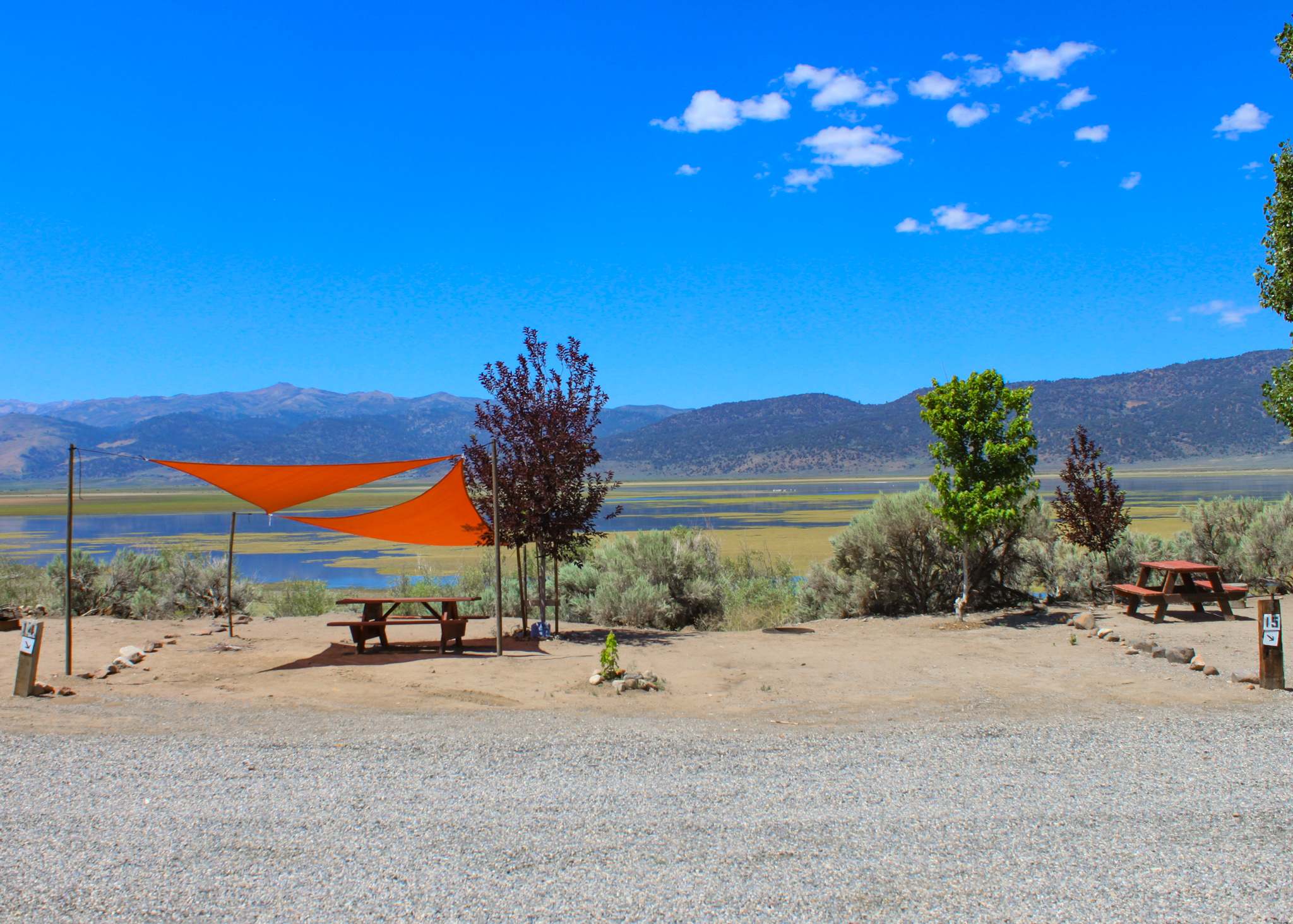 Picture of the site