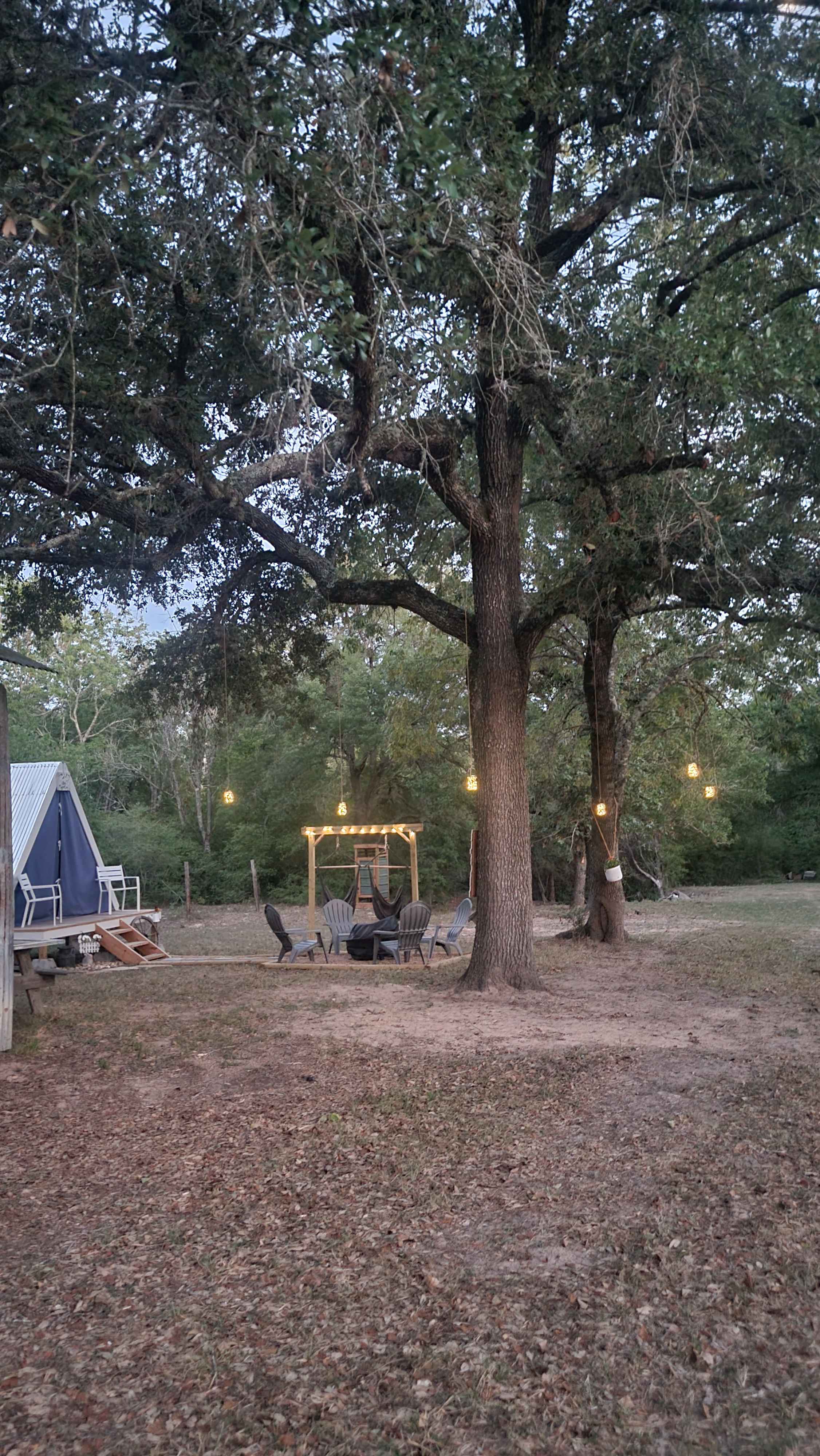 The Magnolia as the sun goes down! Romantic mood lighting thanks to those solar powered mason jar lanterns
