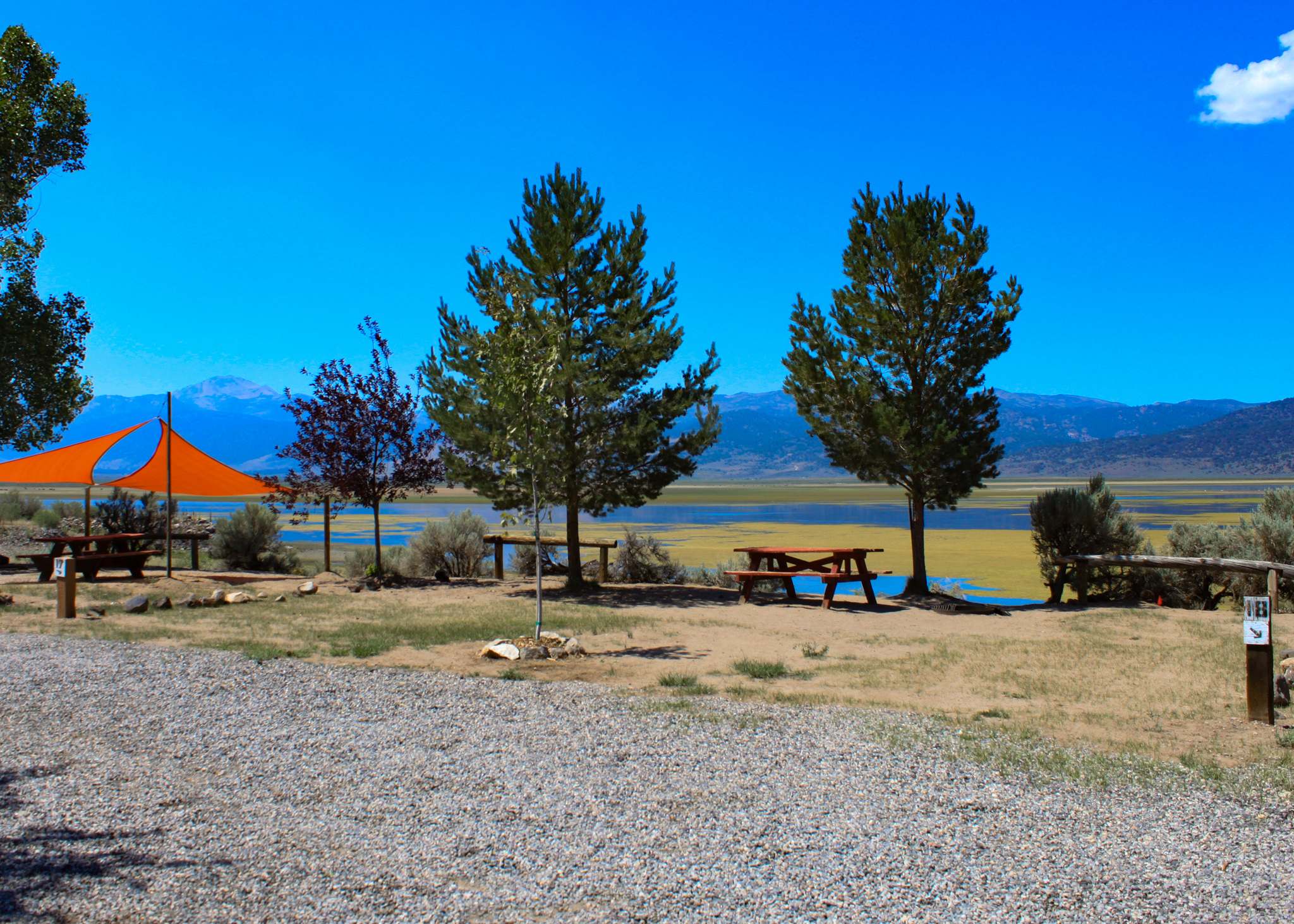 Picture of the site
