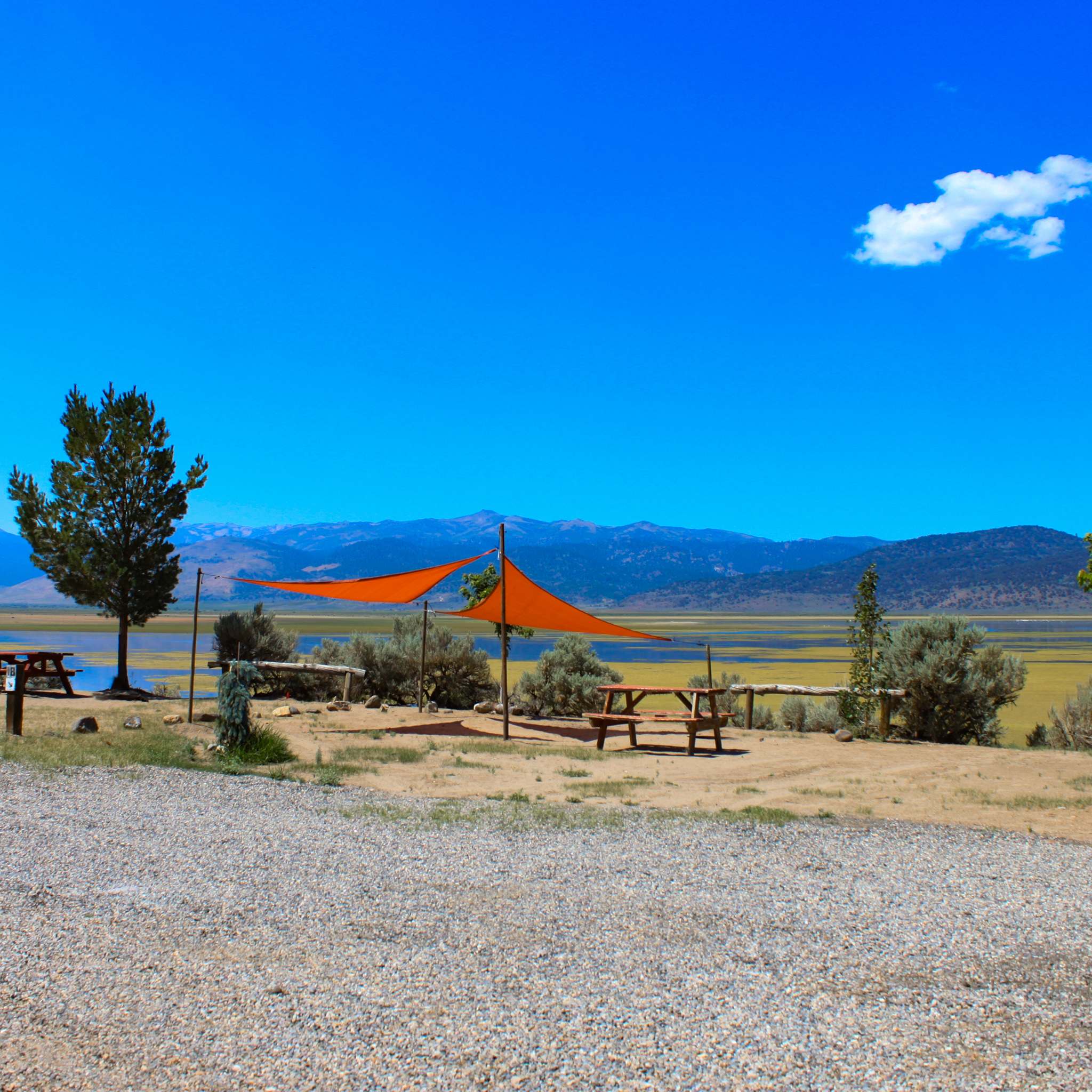 Picture of the site