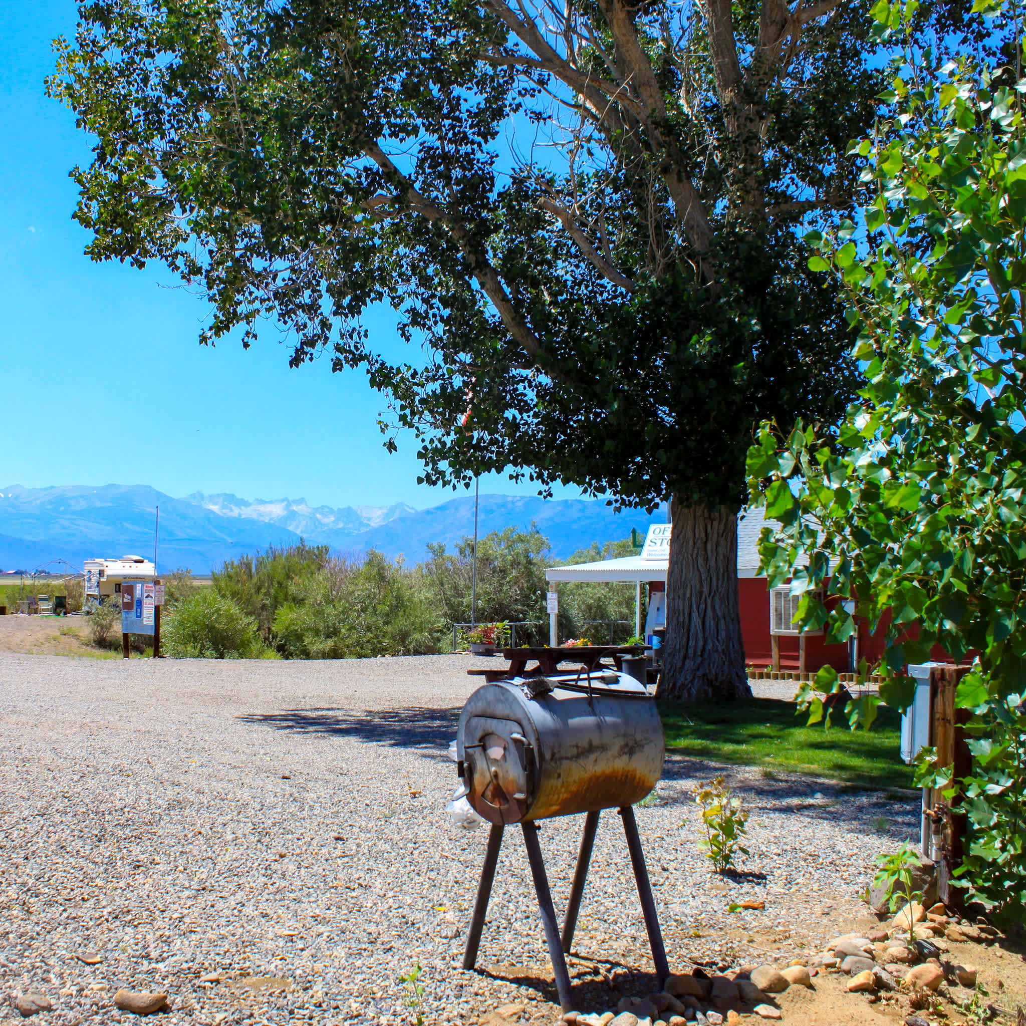 Picture of the site