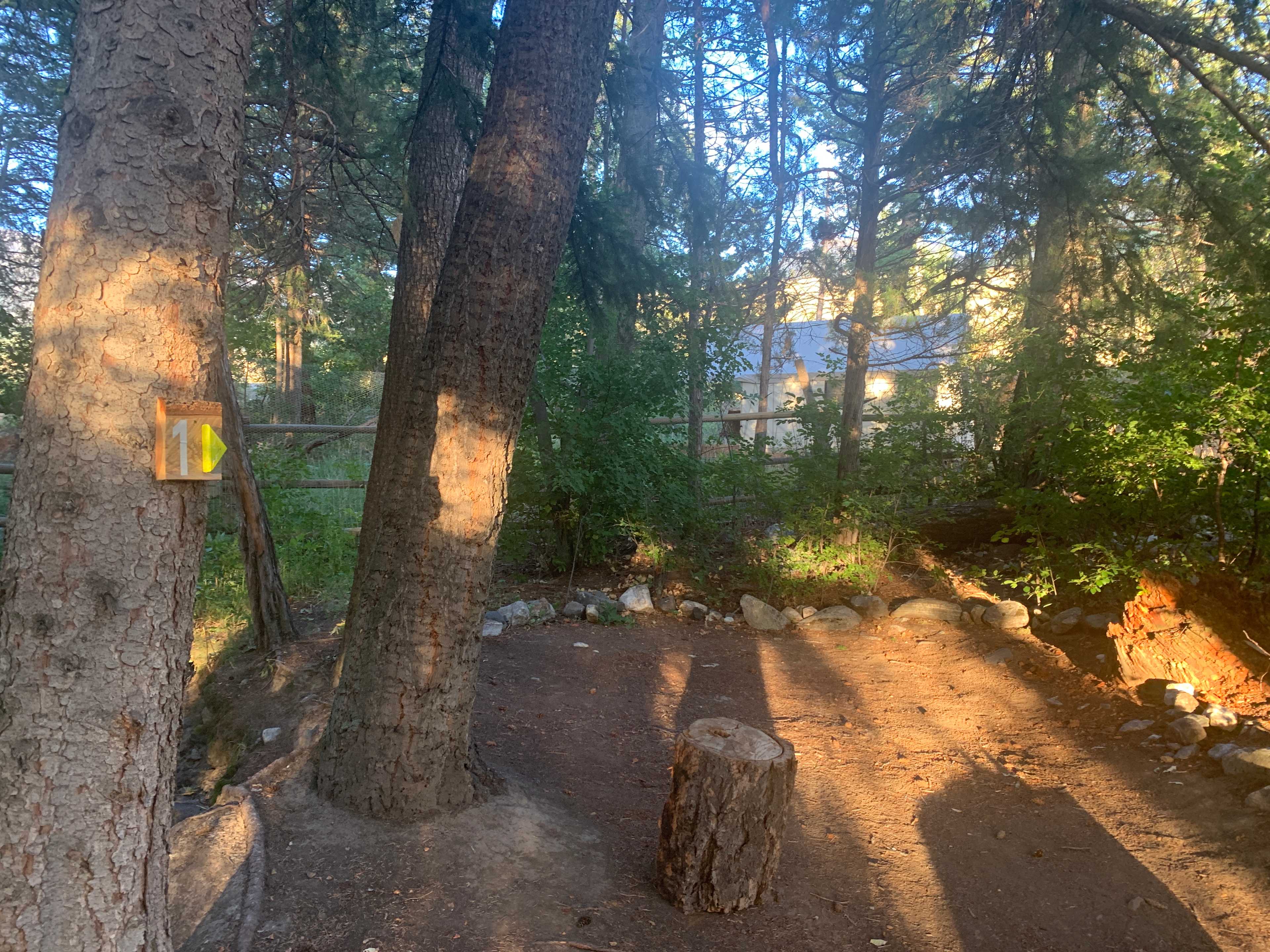 Picture of the site