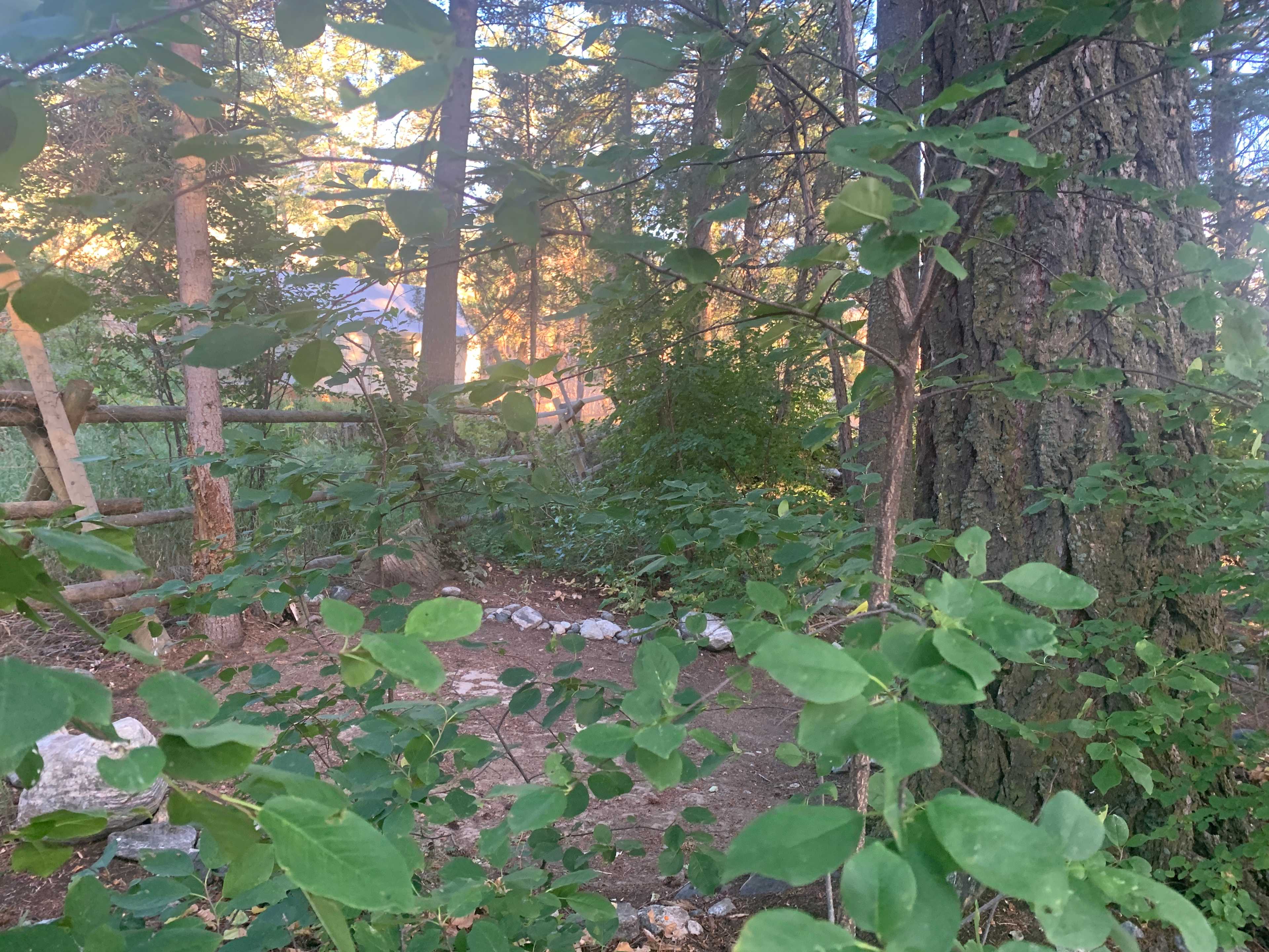 Picture of the site
