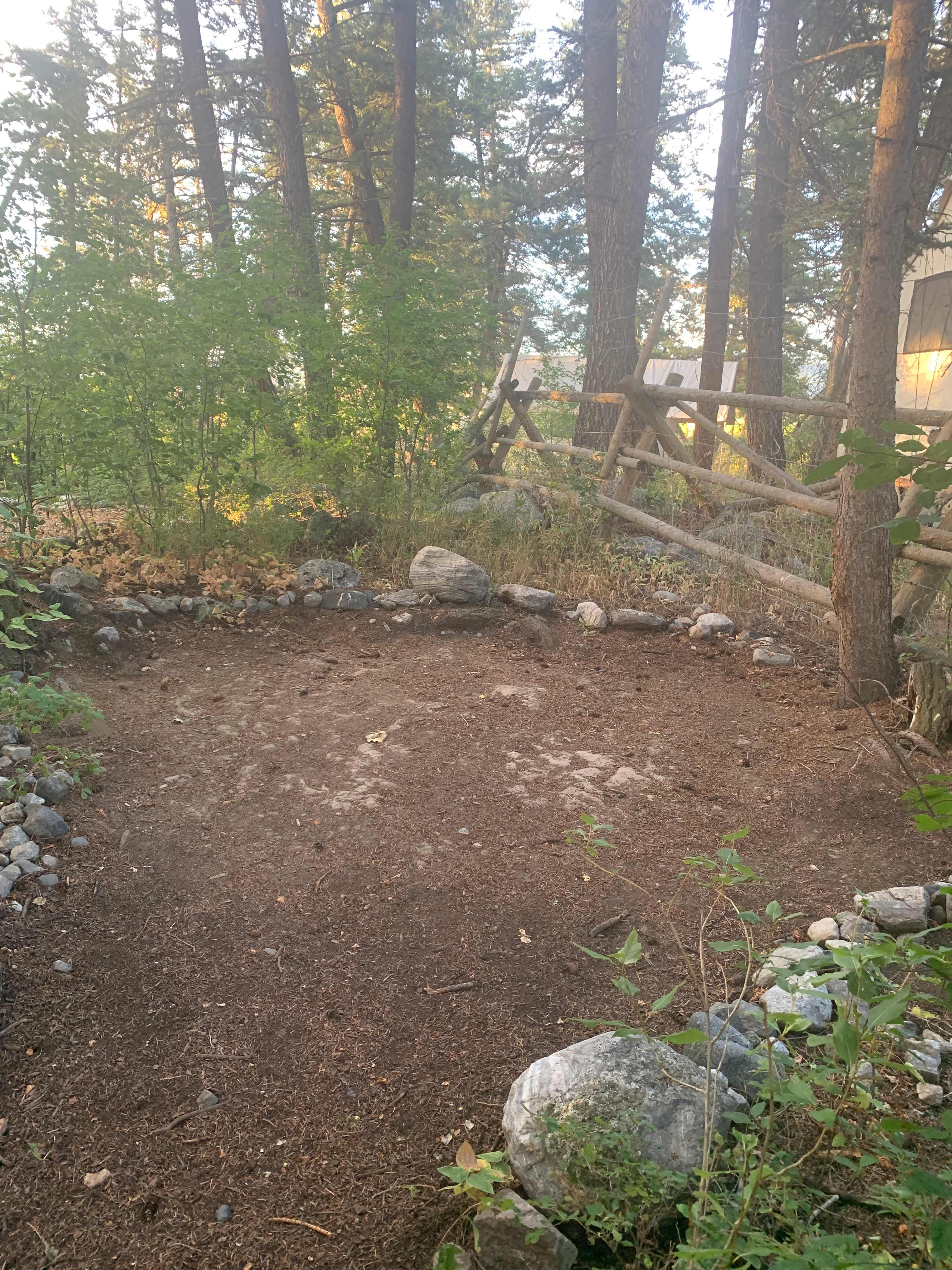 Picture of the site