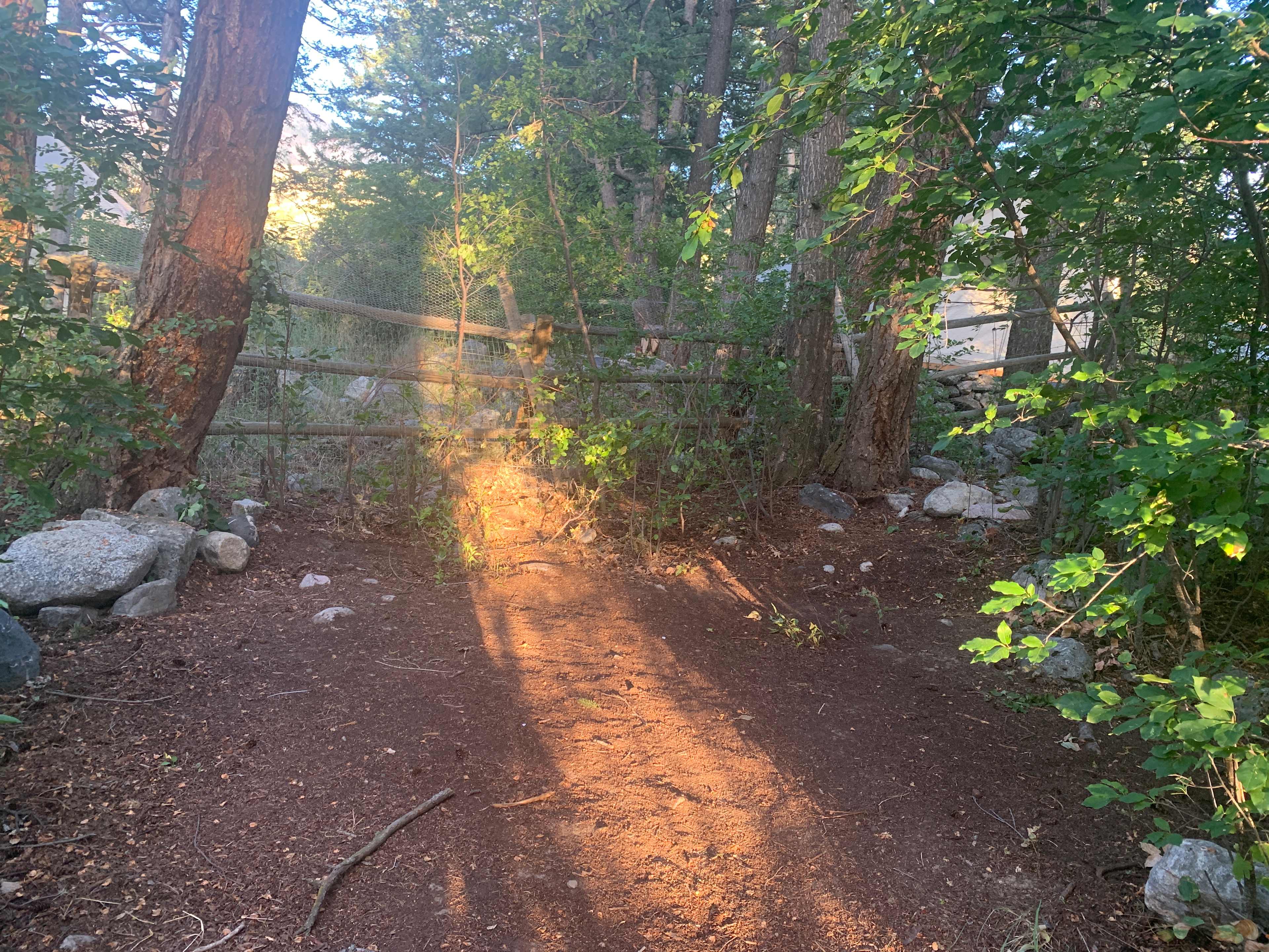 Picture of the site