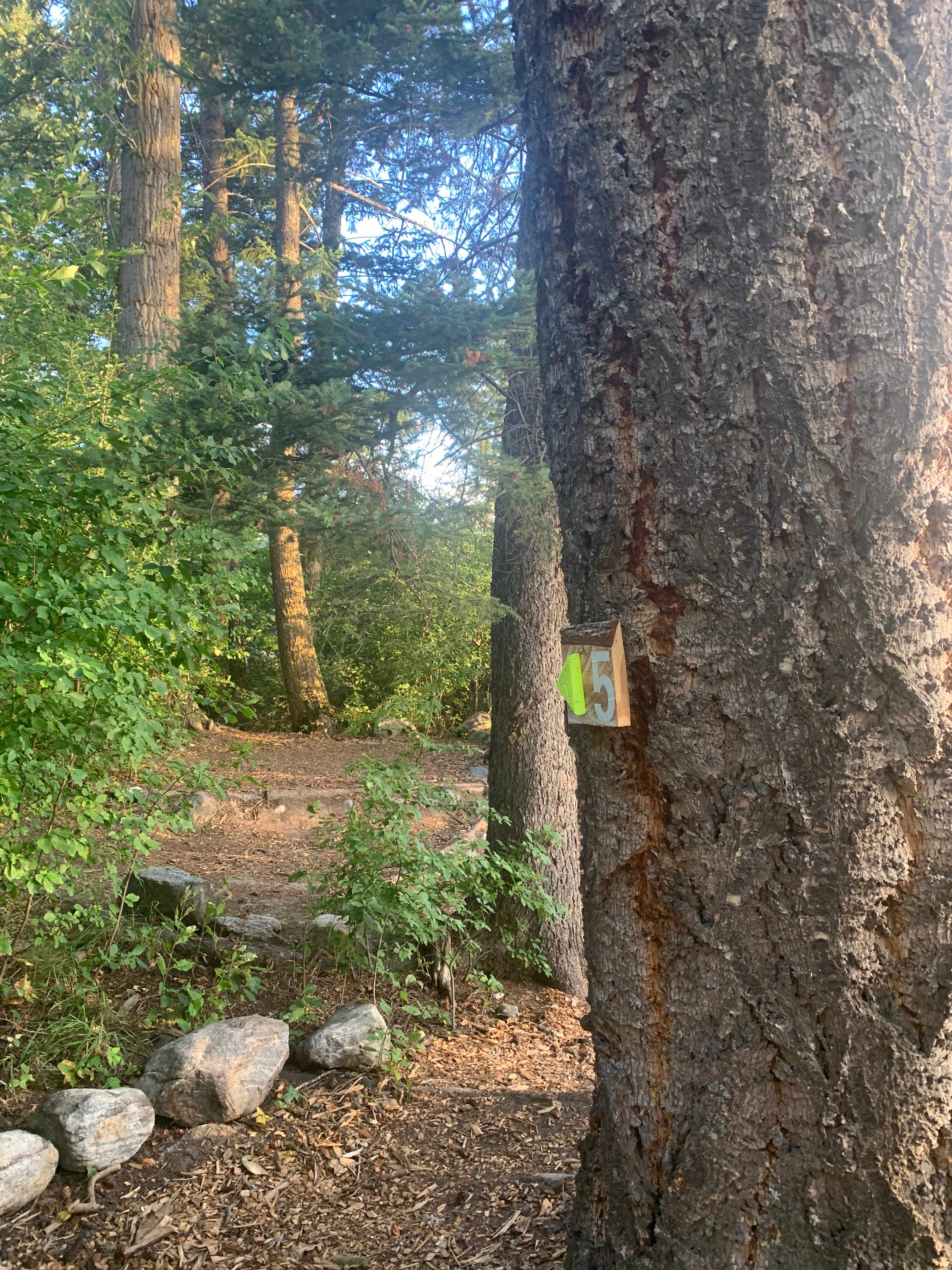 Picture of the site