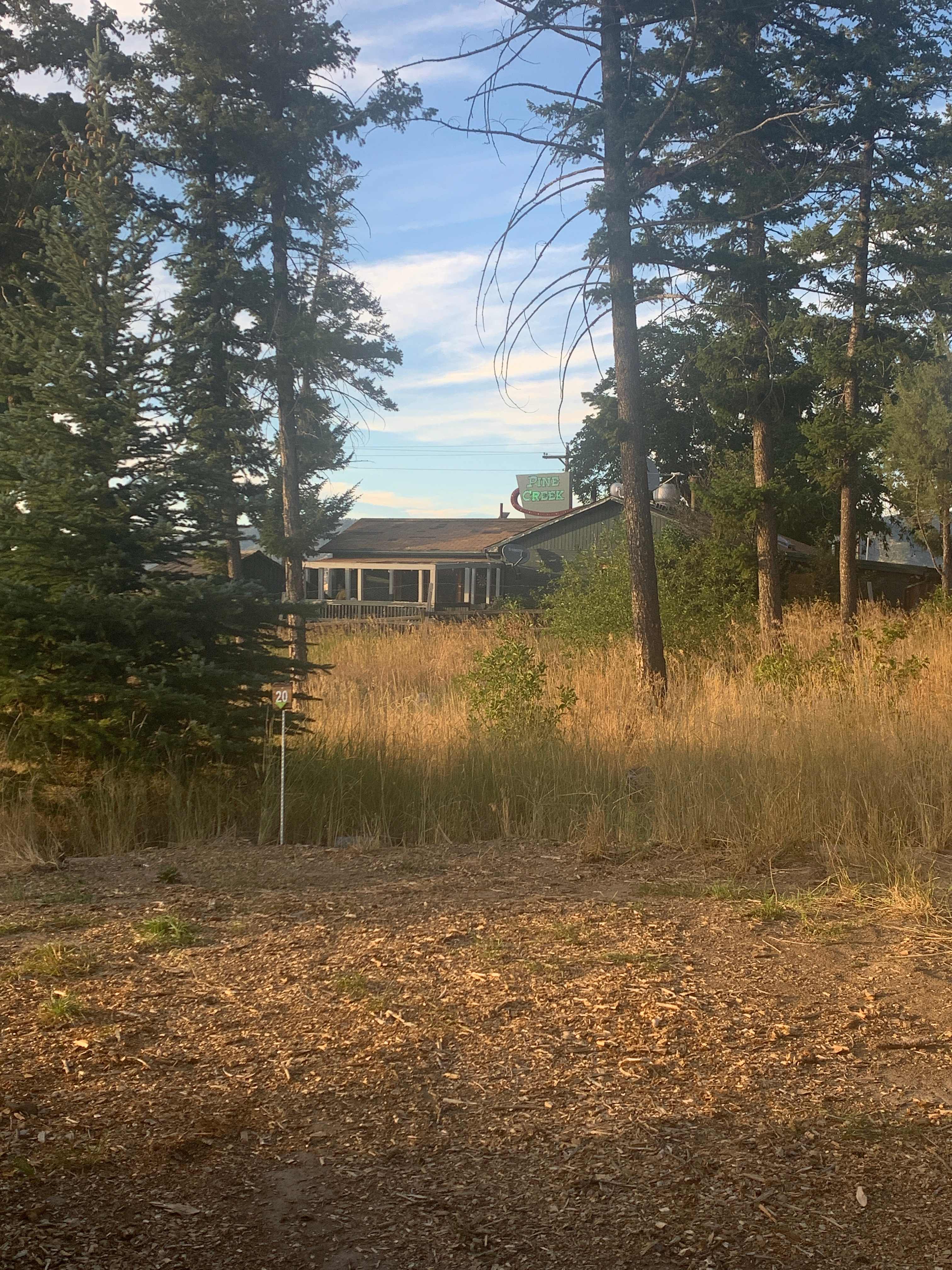 Picture of the site