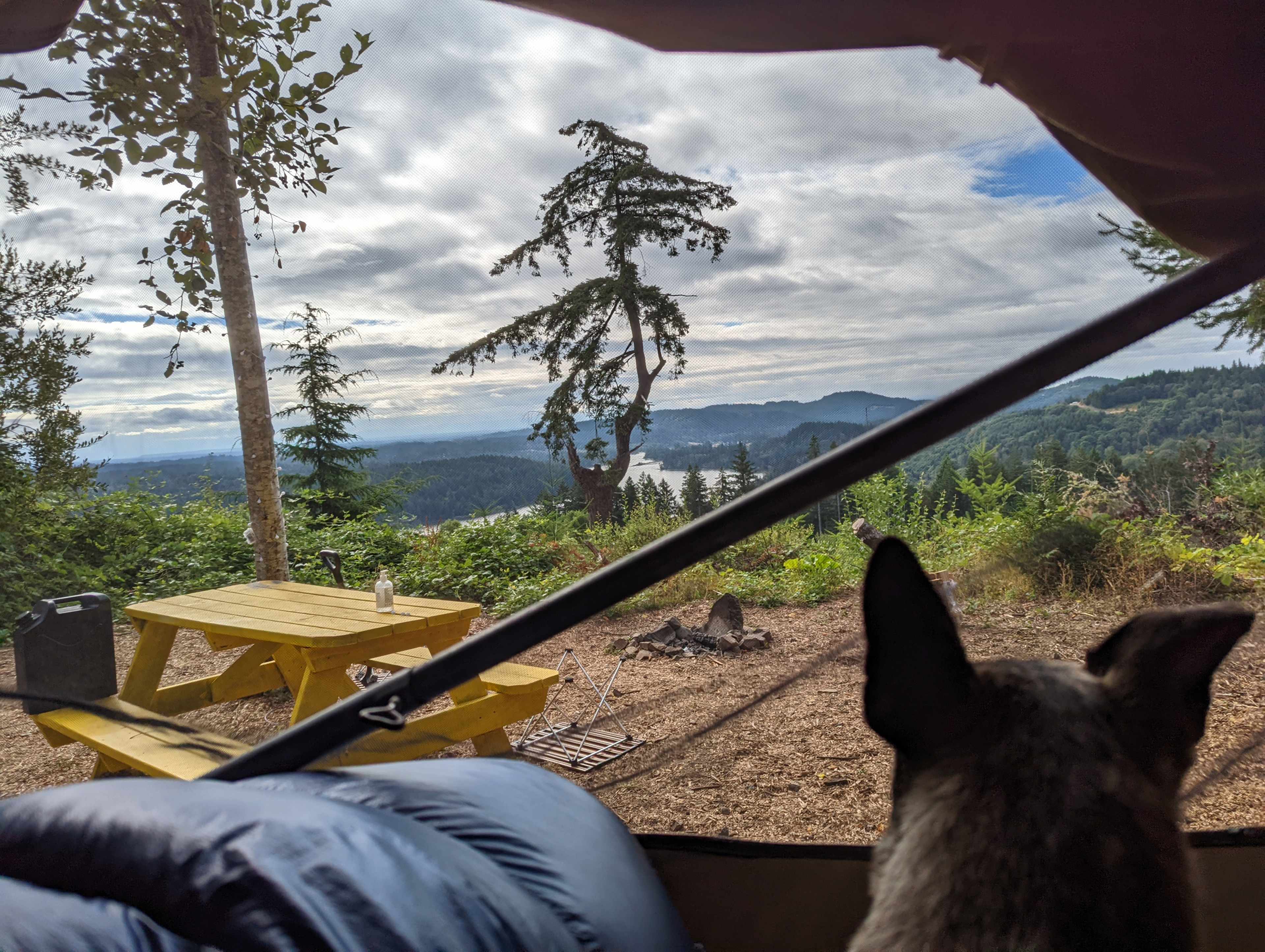 Hairy Eagle Lookout 🦅