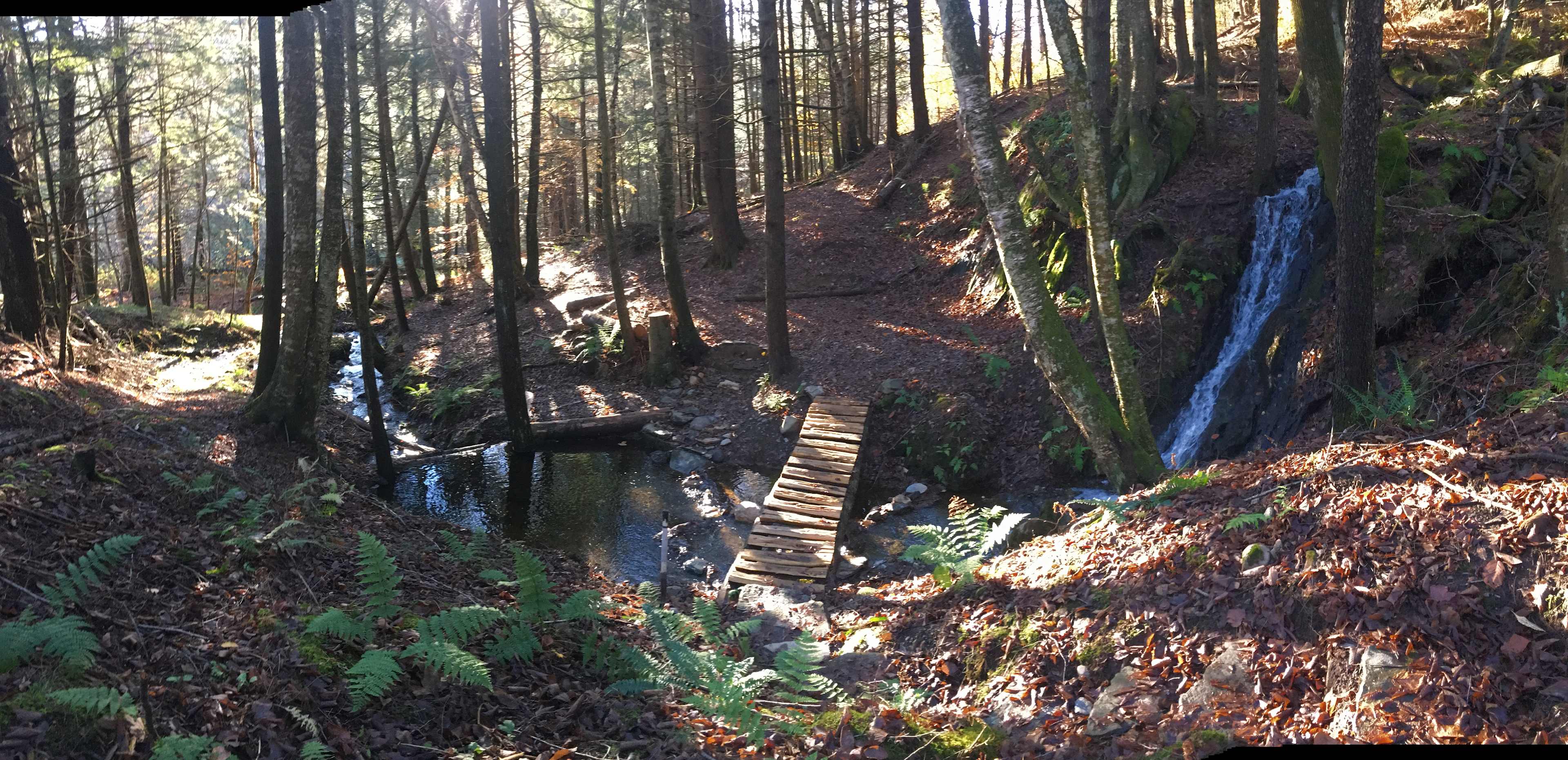 Lower Creek