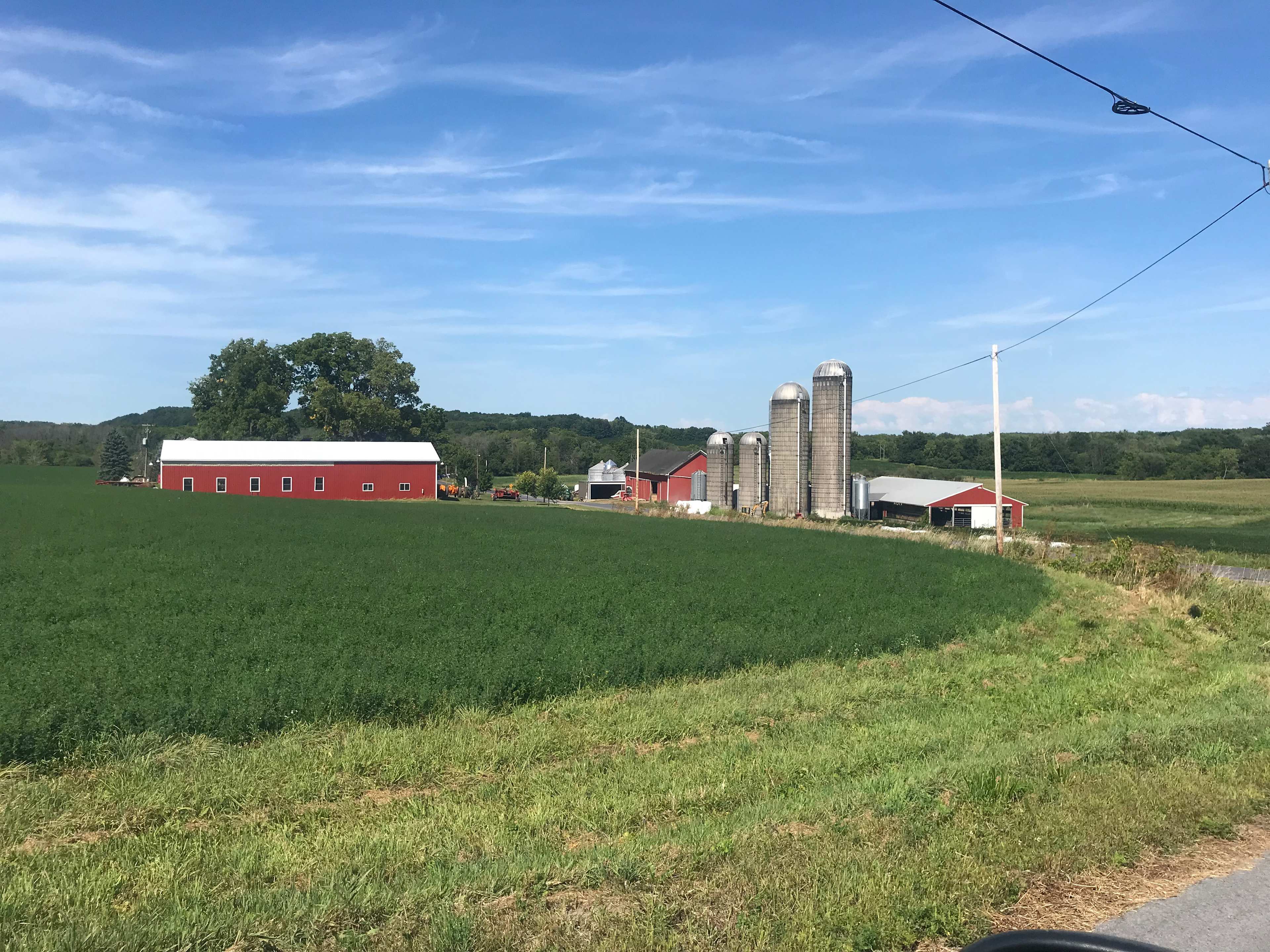 Sunrise View Farm