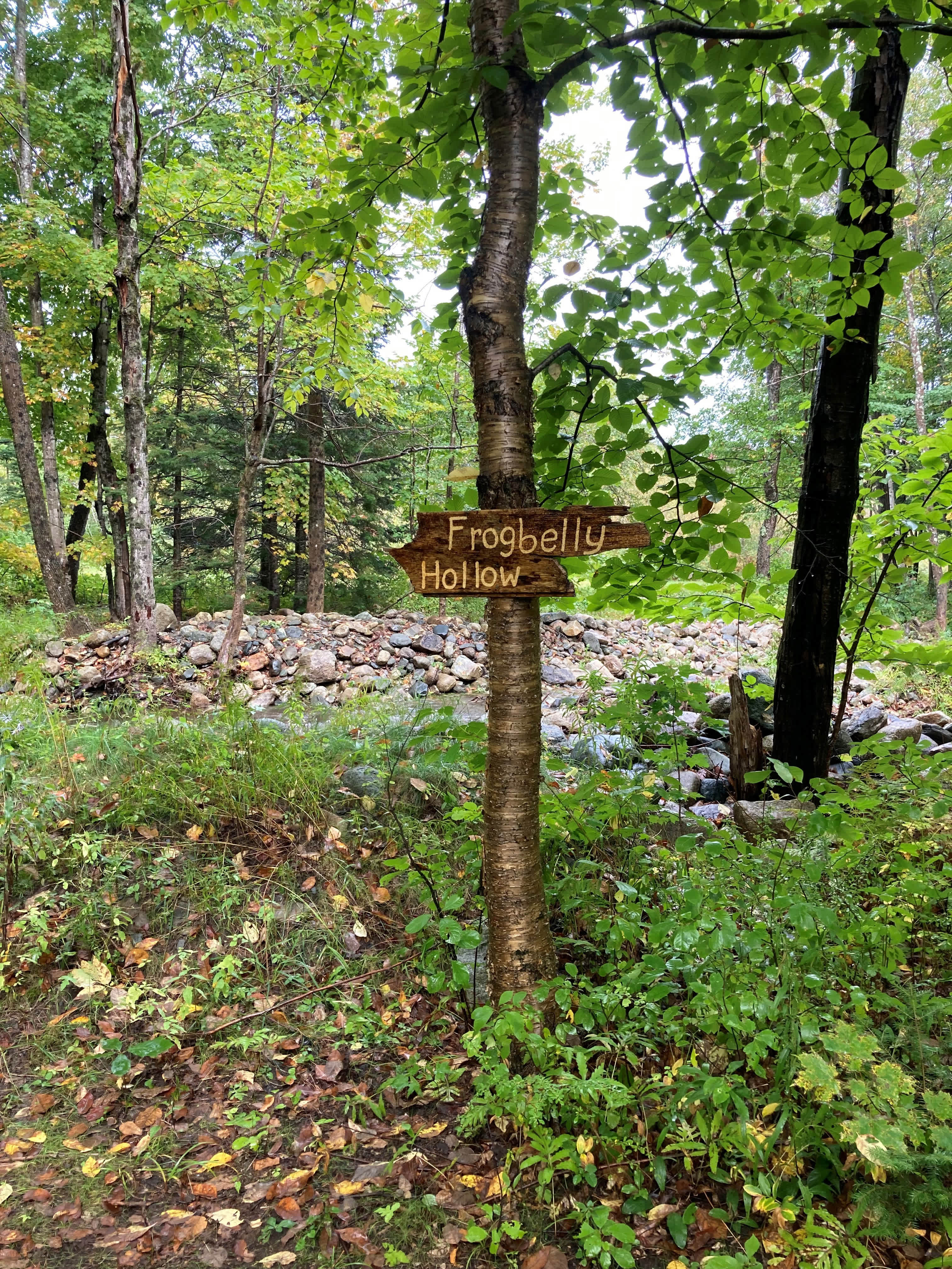 Picture of the site
