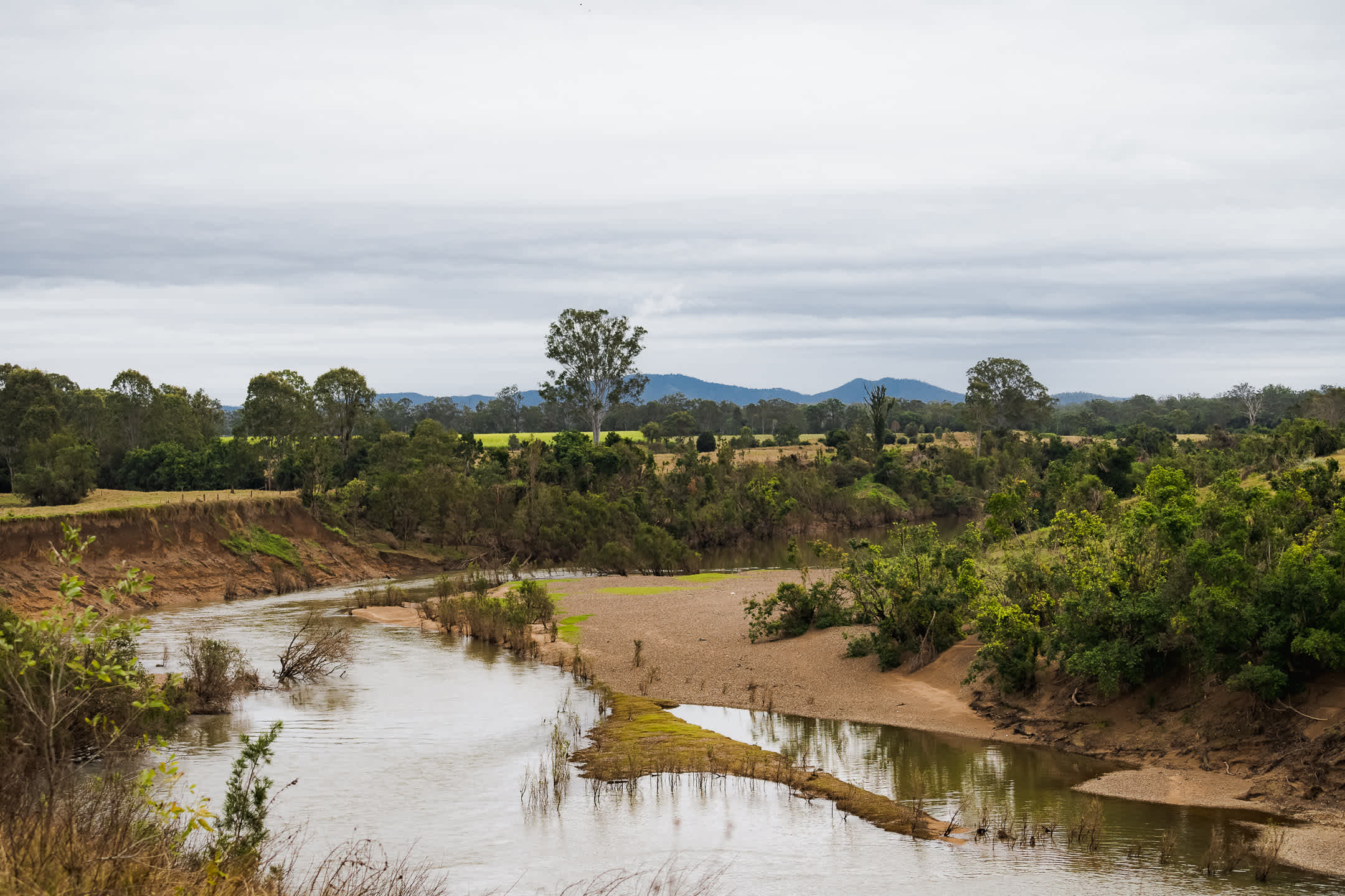 Going for a walk to scope out the property and riverbank. You can see the flood damage so easily.