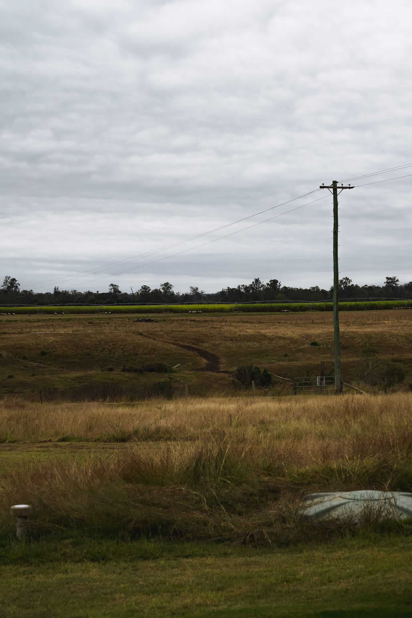 Looking across the river (below frame) at another property from the backyard.