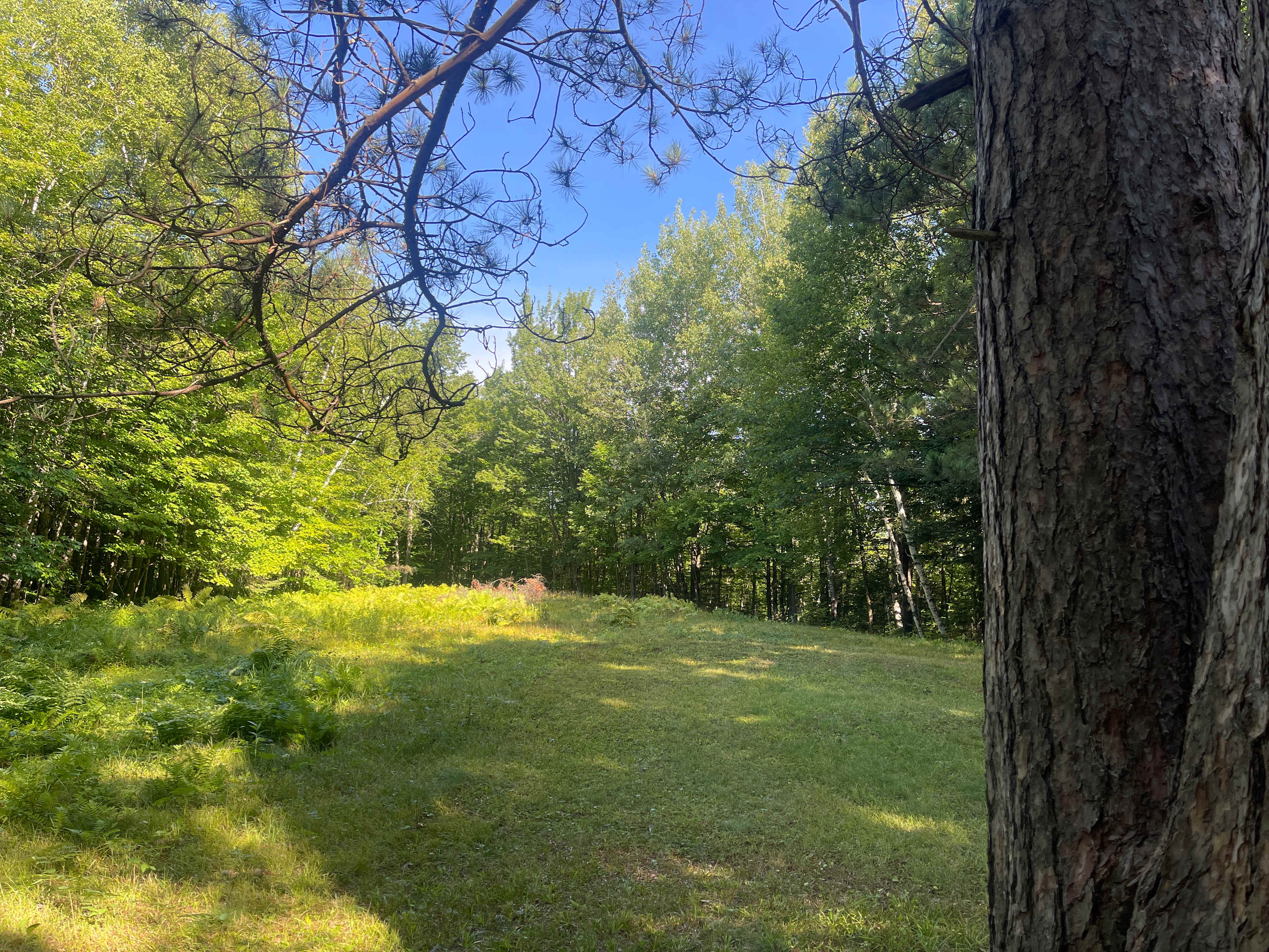 Site 1